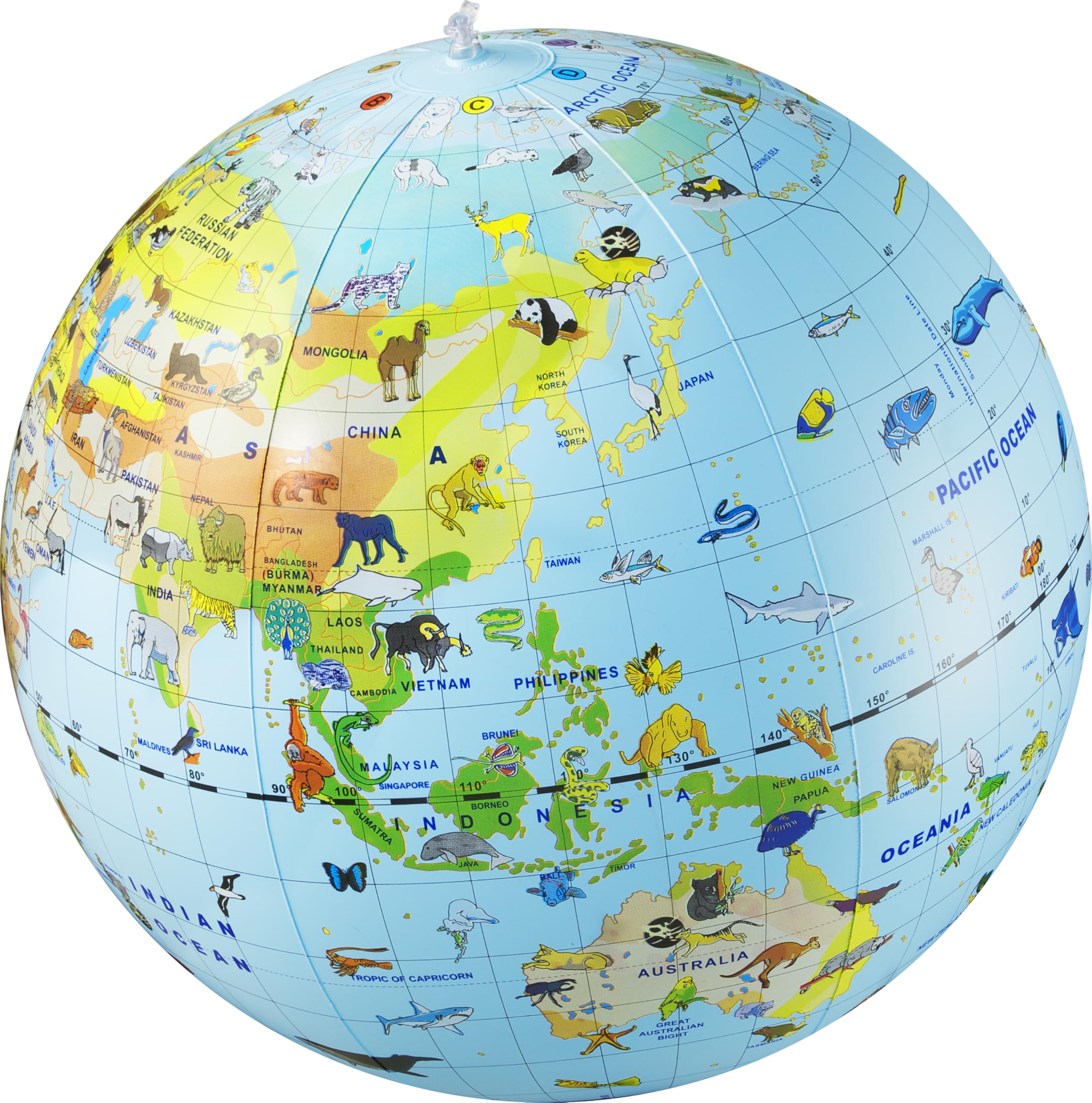CalyGlobe – My inflatable globe "Animals" - English - ref 049KB