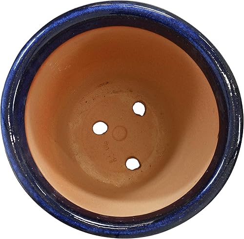 Miniatura 8 de Sunnydaze Studio - Maceta de cerámica con agujeros de drenaje, acabado esmaltado de alto fuego, resistente a los rayos UV y a las heladas, uso en