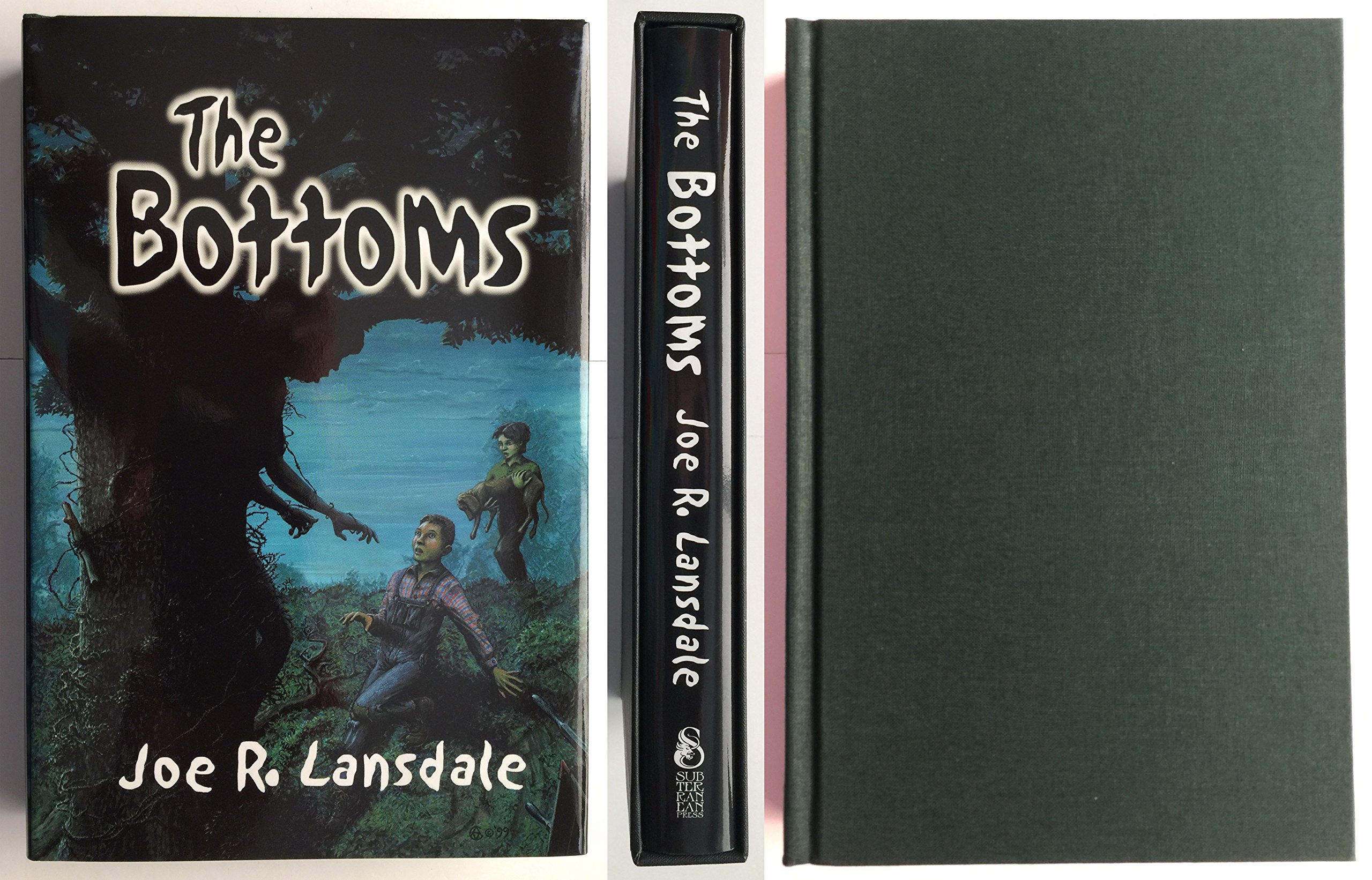 Cover of The Bottoms