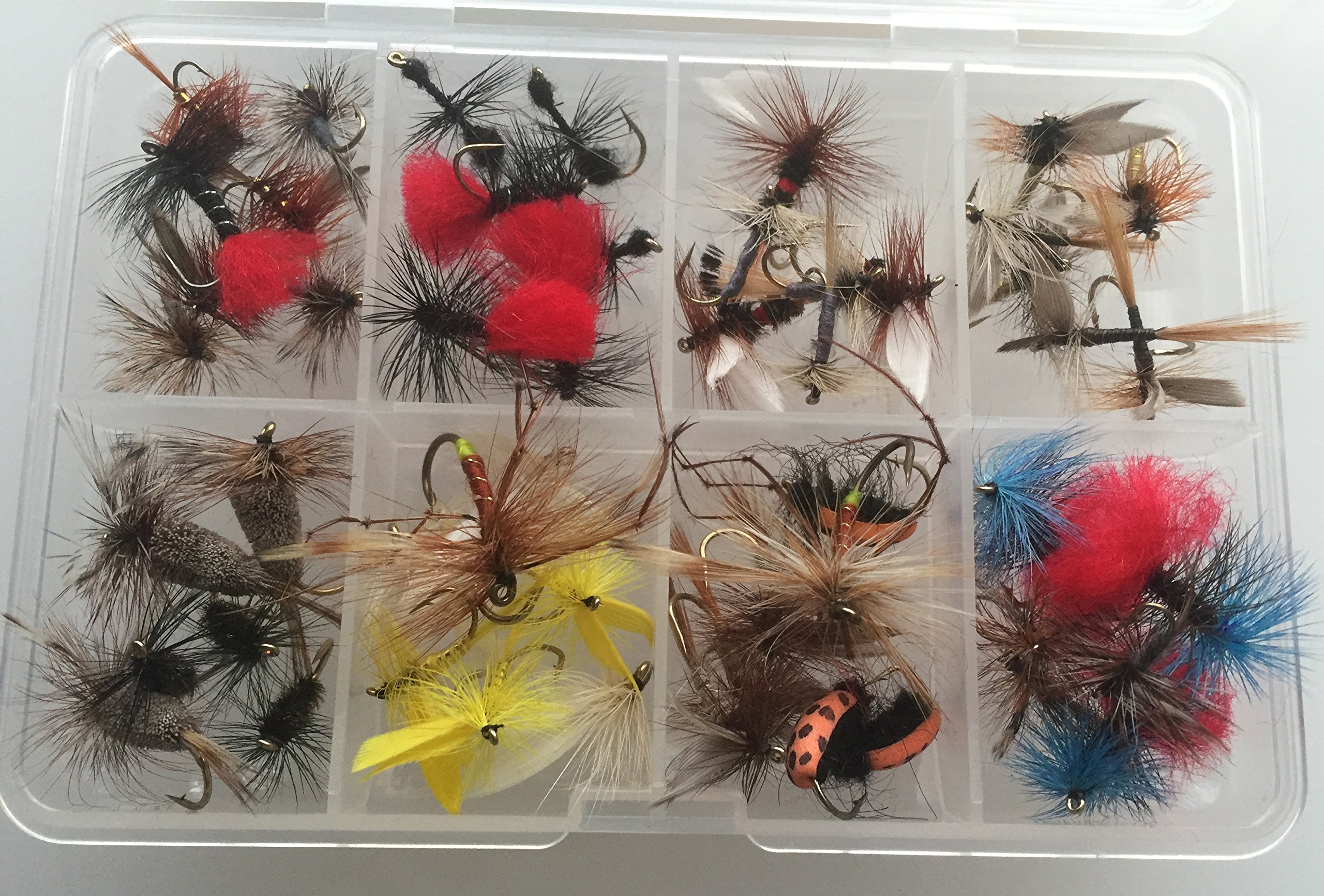 Addio Mosche E Moscerini: Con Un Barattolo Di Vetro Risolvi Il Problema - Foto 11