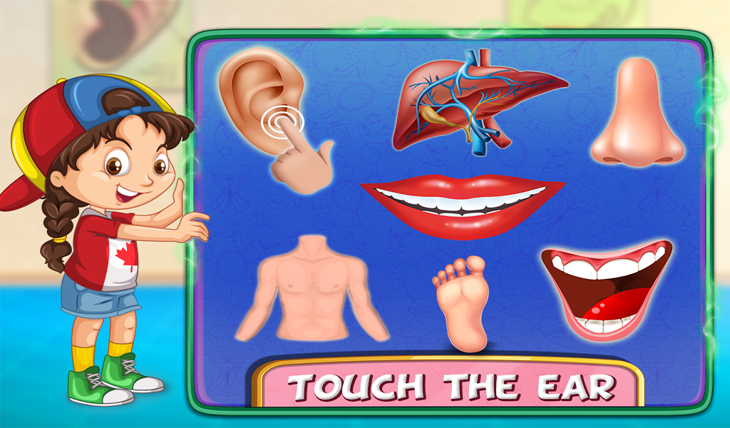 Human Body キット　英語 Edu-Toys | EDU-Science(H.K) Limited (ESL)