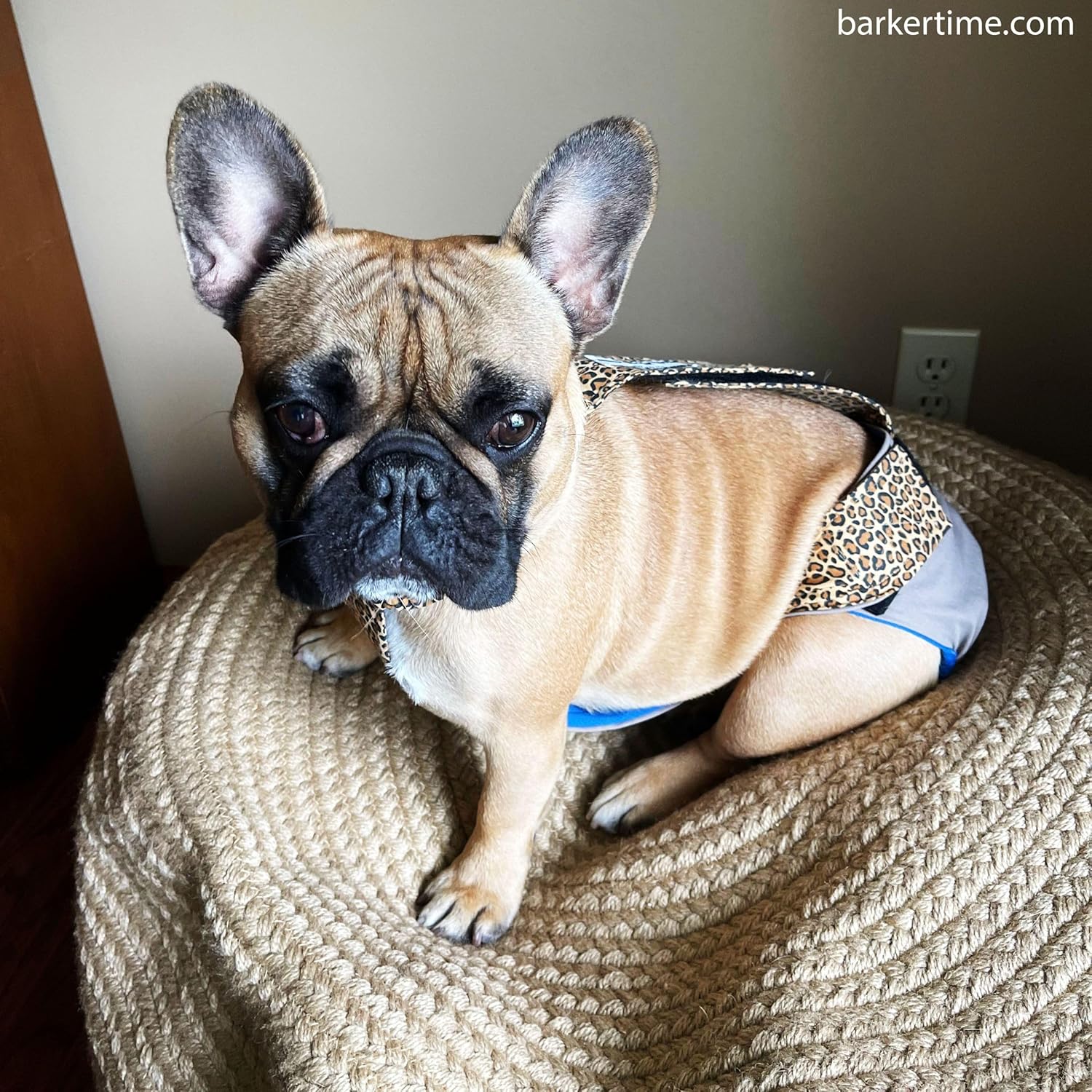 Leopard on Beige Dog Diaper Overall, S, with Tail Hole - Made in USA