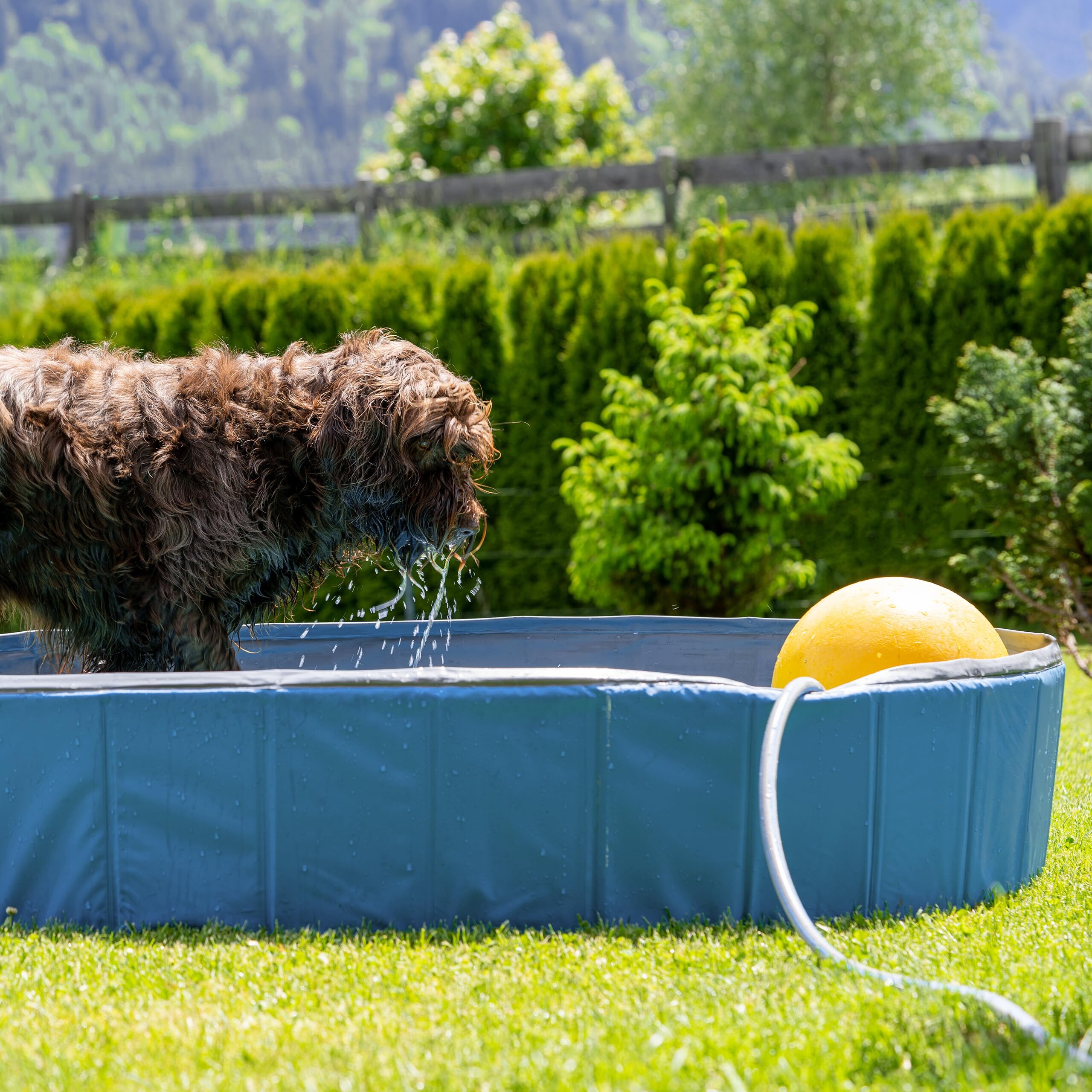 Relaxdays Piscina per Cani Taglia Grande, 30x160 cm, Piscinetta Pieghevole con Scarico, Bagno in Giardino, PVC, MDF, Blu
