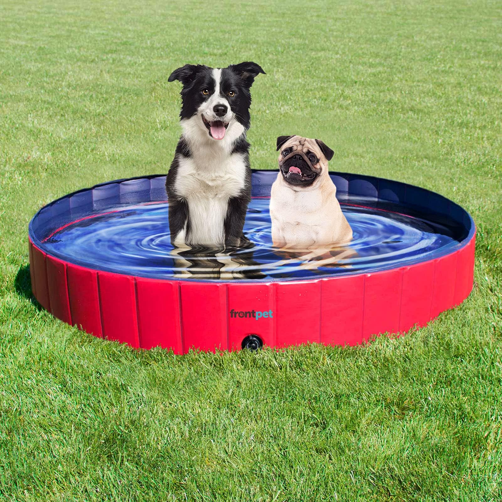 FrontPetXL Foldable Dog Pool - 60" Width Swimming Pools for Large Dogs, Kiddie Pool & Dog Bath Tub, Non-Slip Scratch Resistant Hard Plastic Shell Dog Pool, Portable Pet Pool for Dogs, Pets & Kids