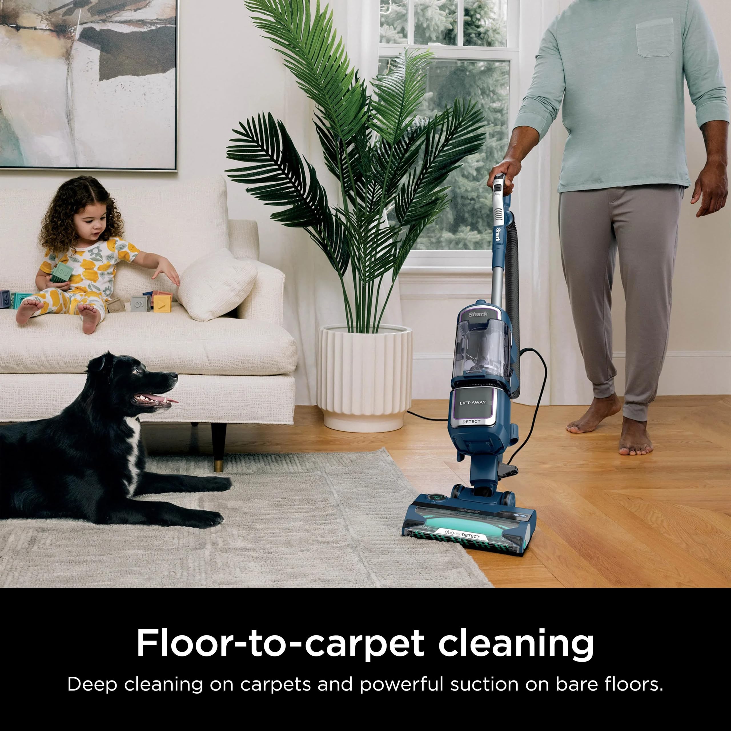 https://m.media-amazon.com/images/I/91F8h4dgcNL.jpg