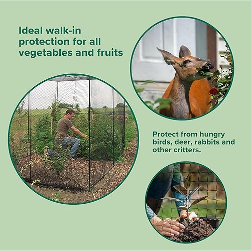 Miniatura 5 de Gardman 7662 Jaula de frutas grande, 118 pulgadas de largo x 79 pulgadas de ancho x 79 pulgadas de alto