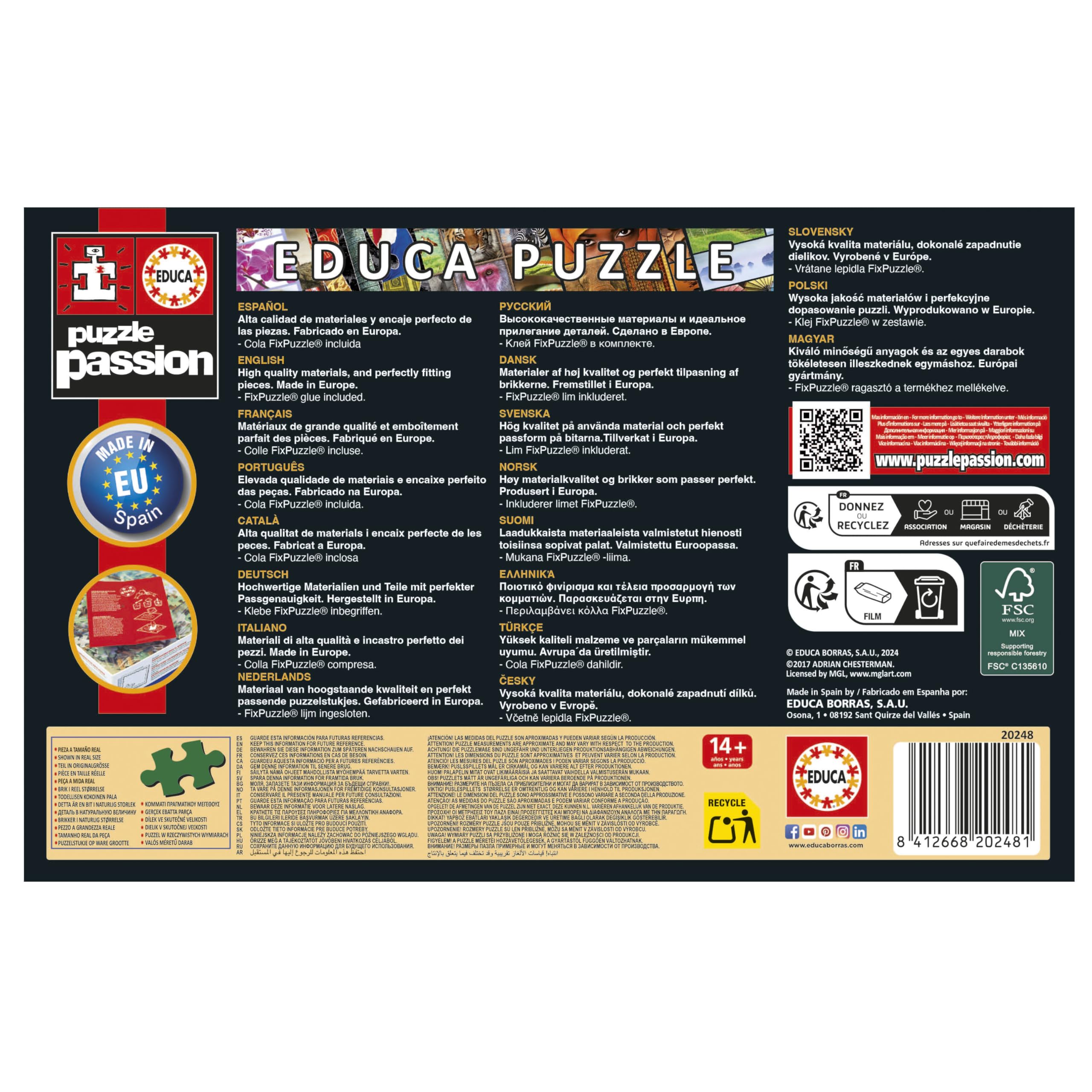 Amazon.com: Educa - 1000 Piece Puzzle for Adults World's Smallest