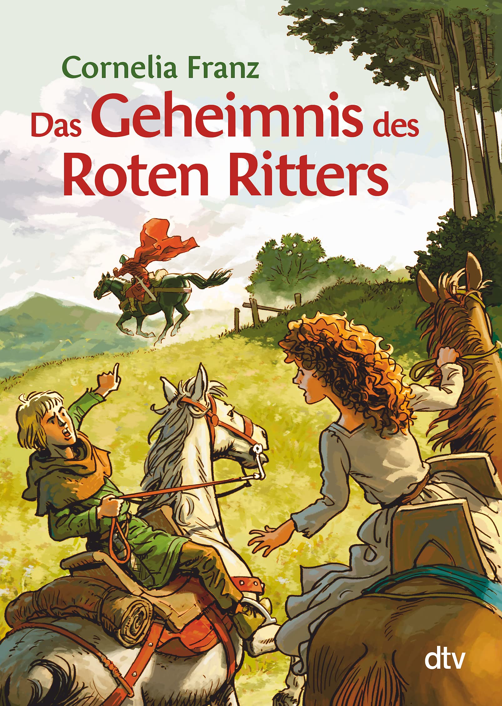 Das Geheimnis des Roten Ritters: Ein Abenteuer aus dem Mittelalter (dtv- Junior)