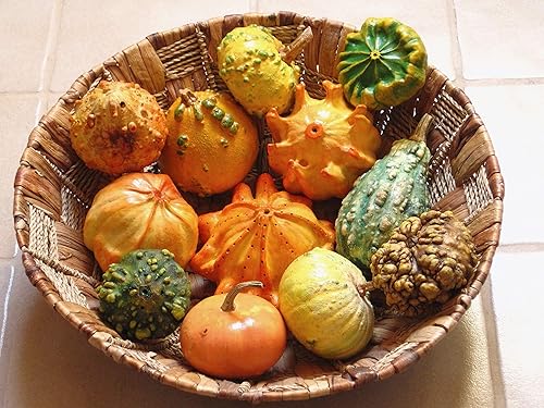 Miniatura 6 de Semillas ornamentales de mezcla de calabaza gigante, vegetales tradicionales para plantar 10 semillas decorativas únicas sin OMG