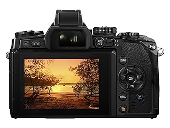 ショット数2057回!■ほぼ新品■ OLYMPUS OM-D E-M1 BODY ショット数2057回!□ほぼ新品□ OLYMPUS OM-D E-M1 BODY