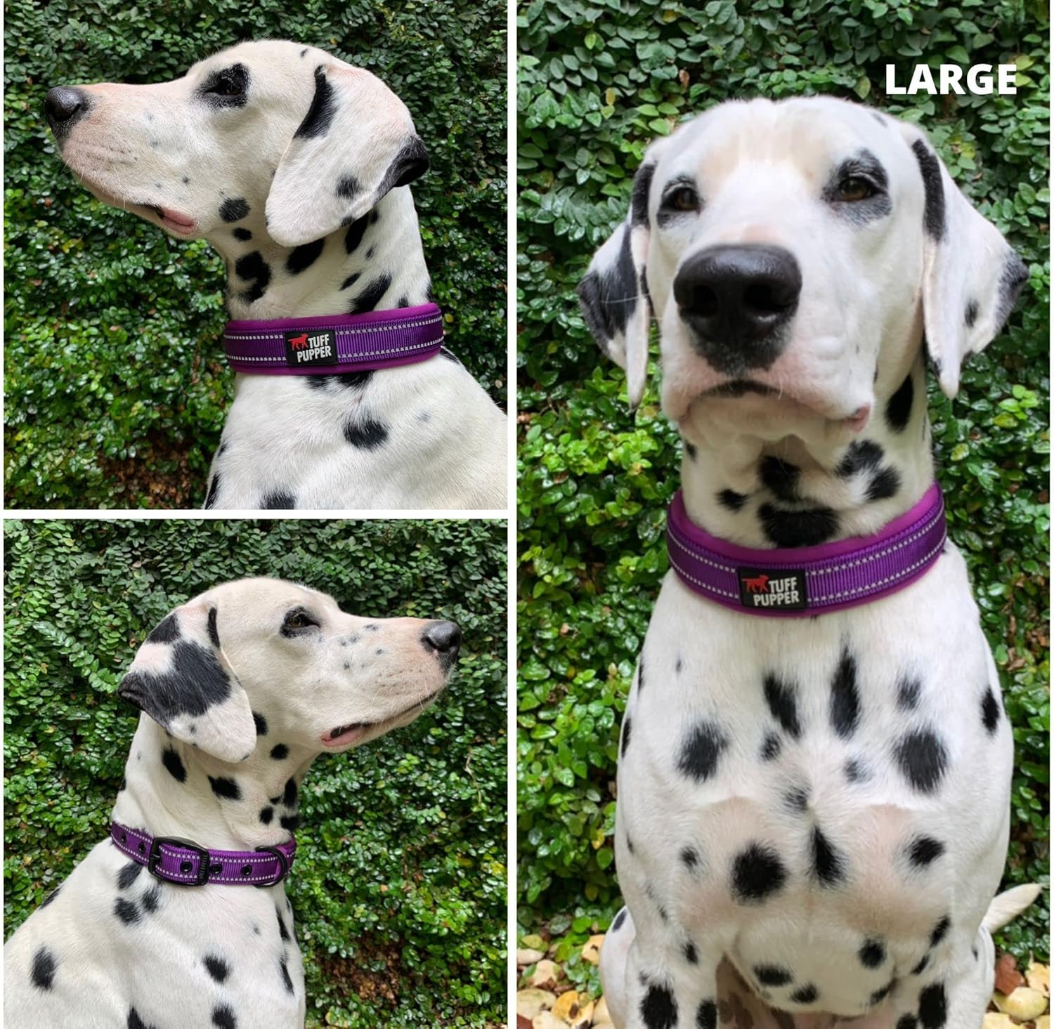 Tuff Pupper Matching 6 Foot Double Handle Leash and Collar (19-23" Neck) - Purple