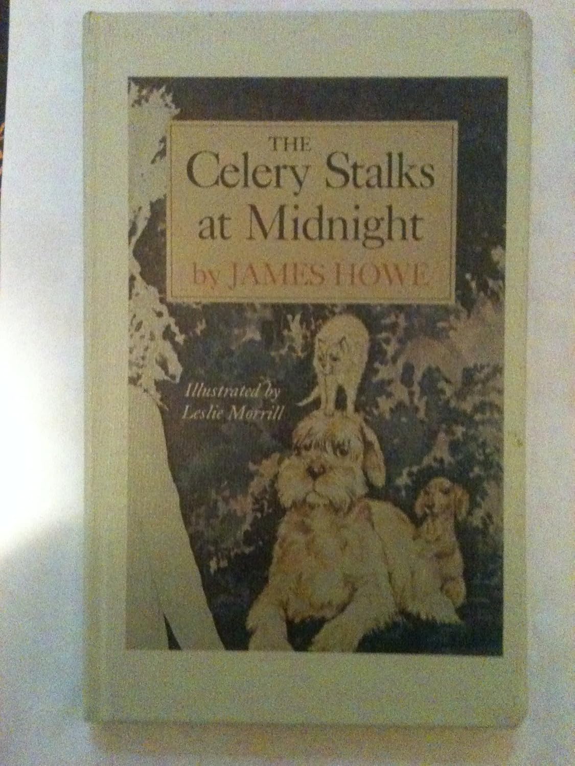 The Celery Stalks at Midnight James Illustrated By Leslie Morrill Howe