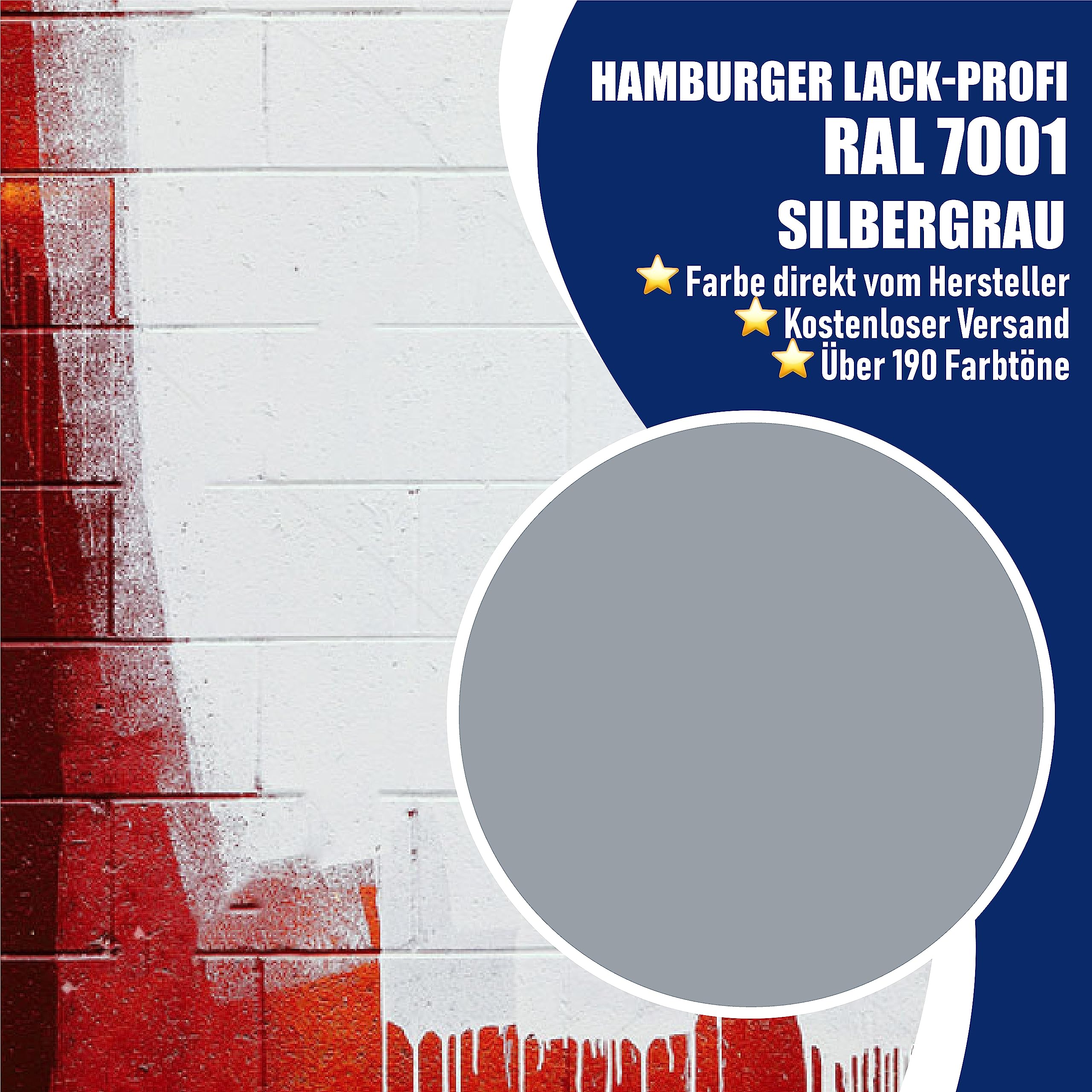 Hamburger Lack-Profi Betonfarbe SEIDENMATT Silbergrau RAL 7001 Grau Bodenfarbe Bodenbeschichtung Betonbeschichtung Fassadenfarbe (5 L)