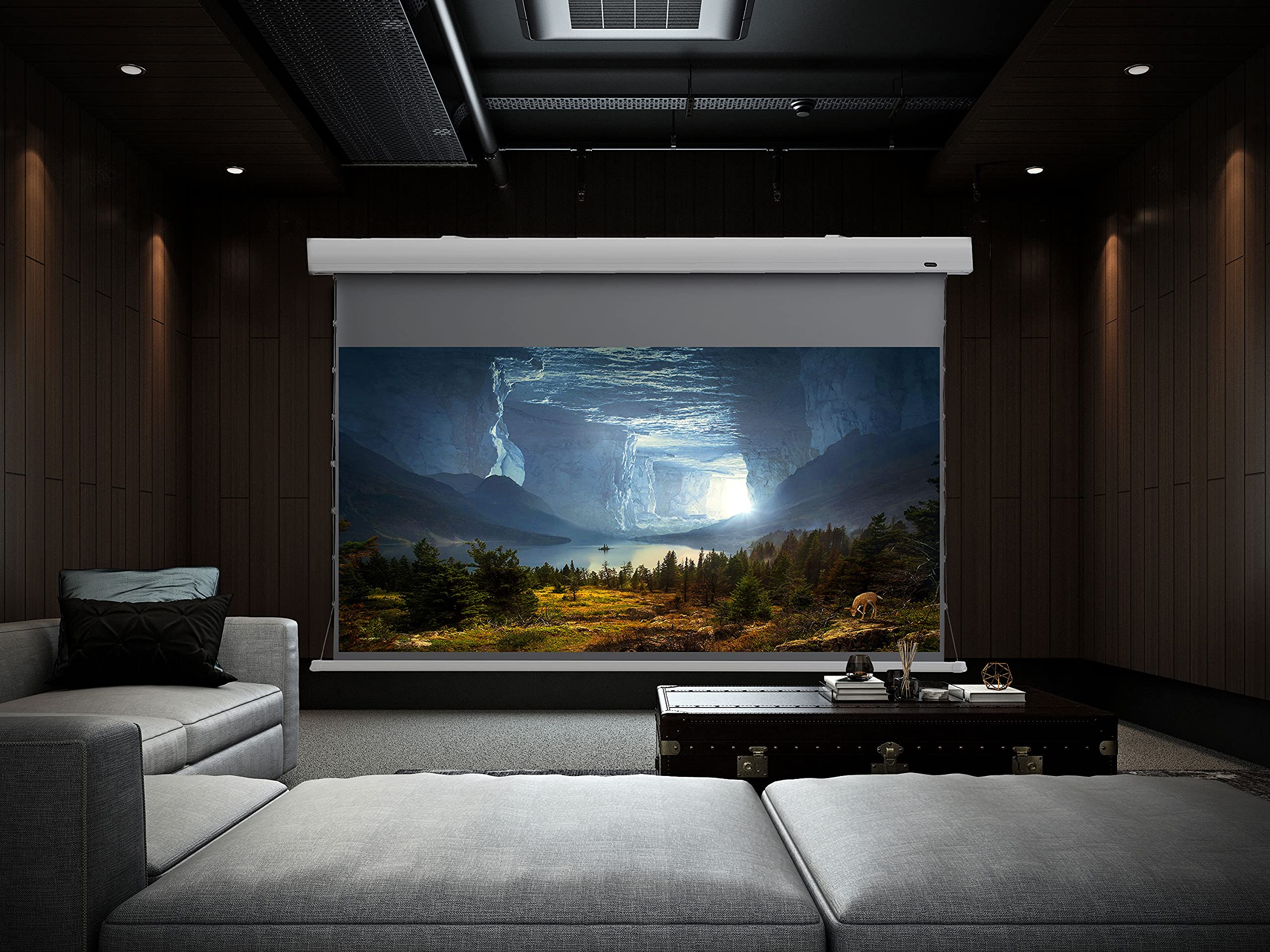 celexon HomeCinema Dynamic Slate ALR Hochkontrast-Tension-Motor-Leinwand 90" | 199x112cm 16:9 | elektrische 4K, Full-HD Beamer-Projektions-Leinwand mit strammen Seilspannsystem | Decken-/Wand-Montage