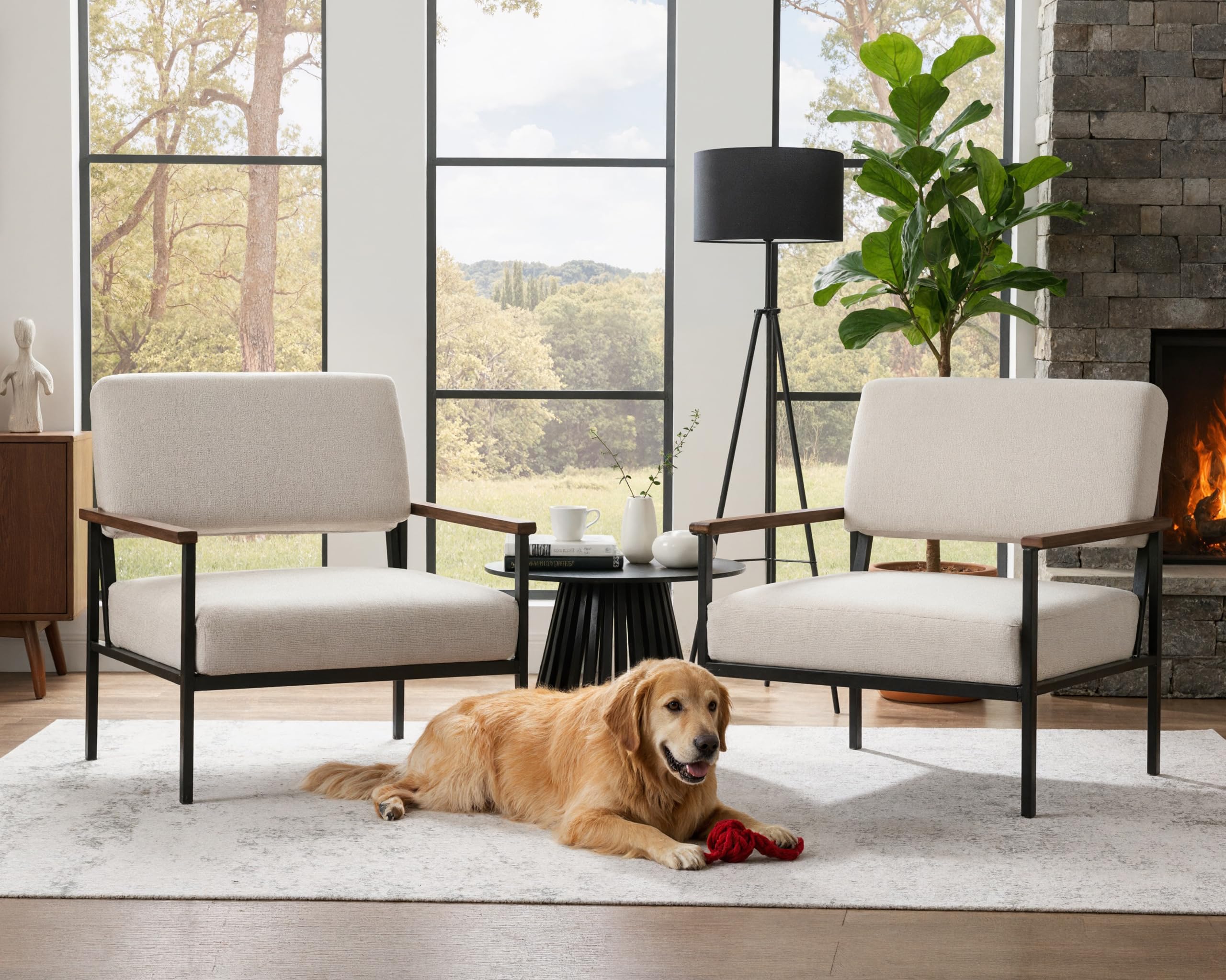 Mid Century Modern Beige Accent Chairs Set of 2, Comfy Arm Chairs with Black Metal Frame Soft Linen Fabric Upholstered Armchairs Living Room Chairs