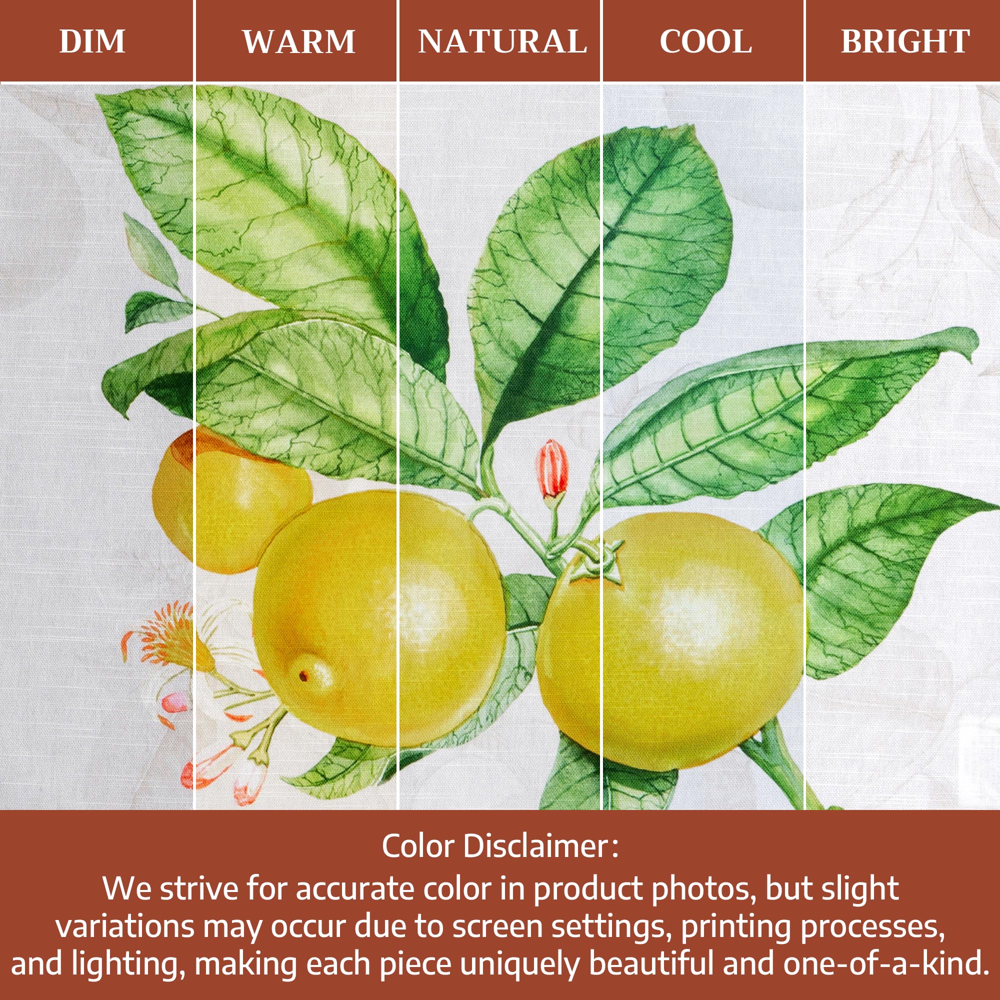 Maison d' Hermine Paño de Cocina 100% algodón, 50 cm x 70 cm, paños de Cocina de Pascua para Limpieza, Comedor, Fiestas de bufé y Uso en Bodas, Limoncello - Primavera/Verano (Juego de 3)