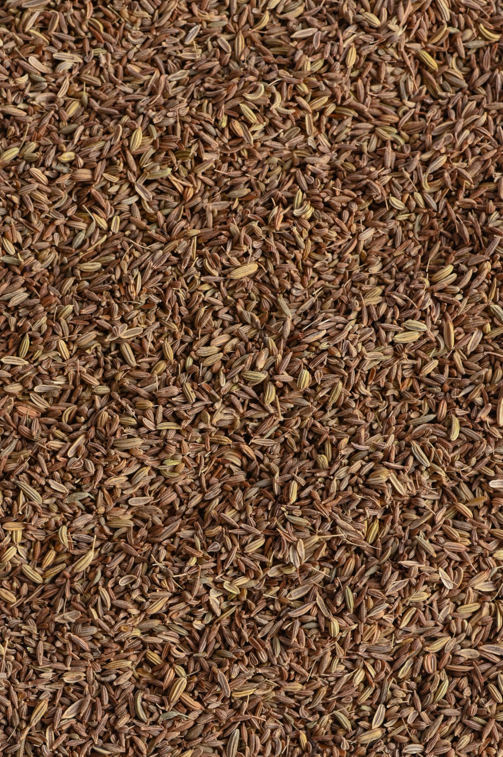 Biojoy Organiczna Herbata z kopru włoskiego, anyżu i kminku luzem (100 g), całe nasiona