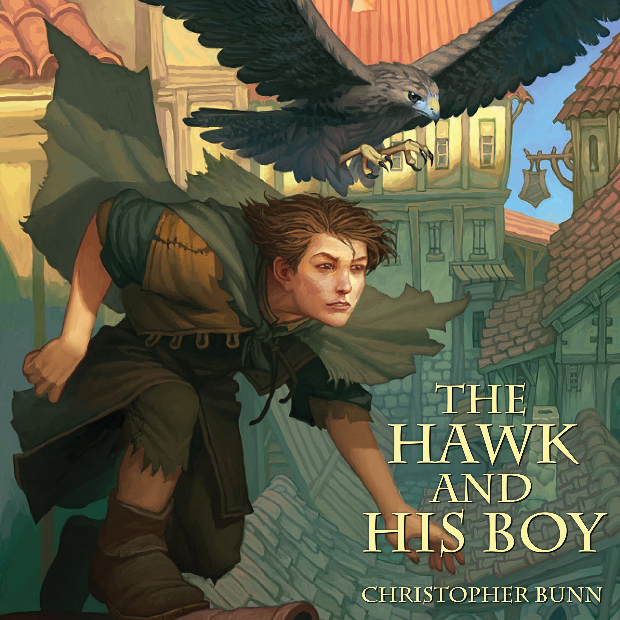 Cover art for The Hawk and His Boy