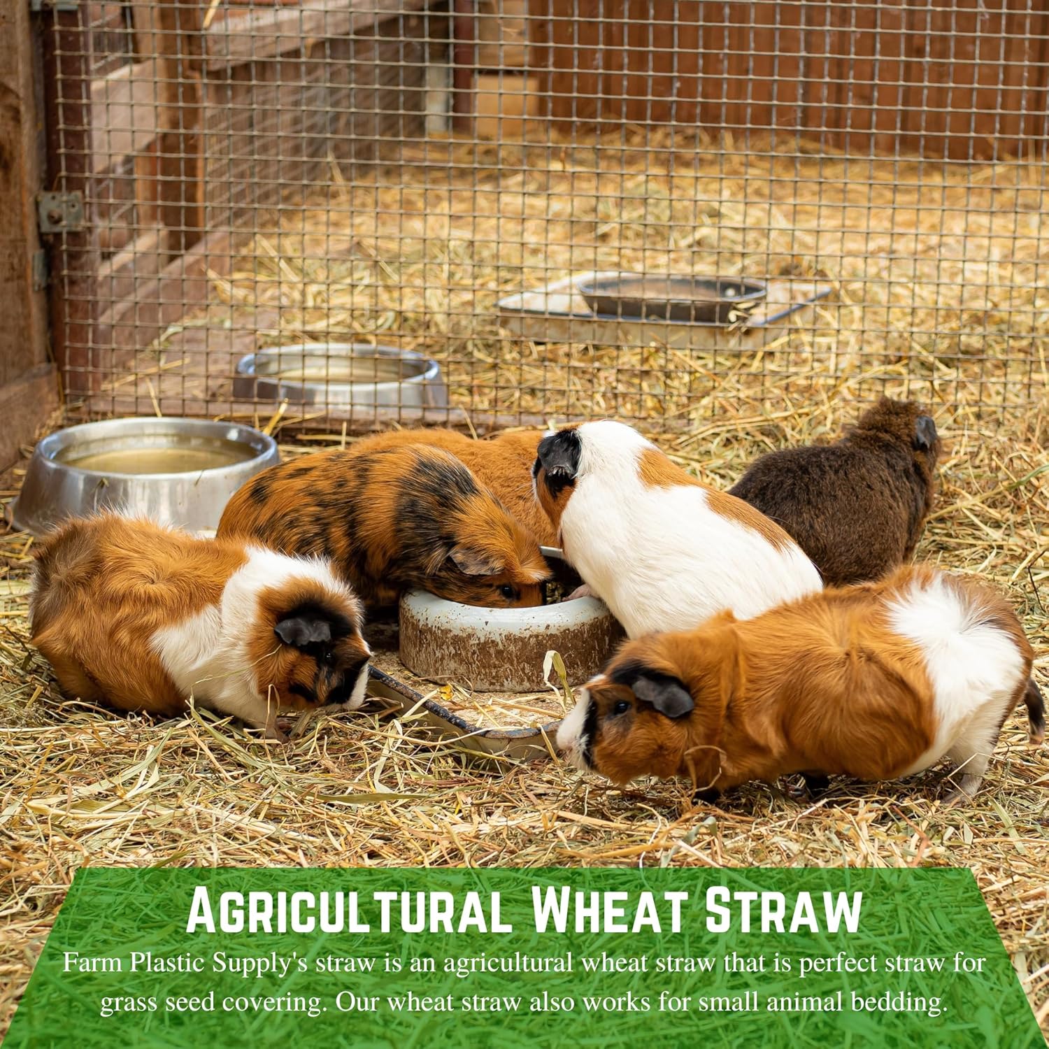 Farm Plastic Supply - Agricultural Wheat Straw - Garden Straw Mulch, Rabbit Litter, Straw for Grass Seed Covering (10, Pounds)