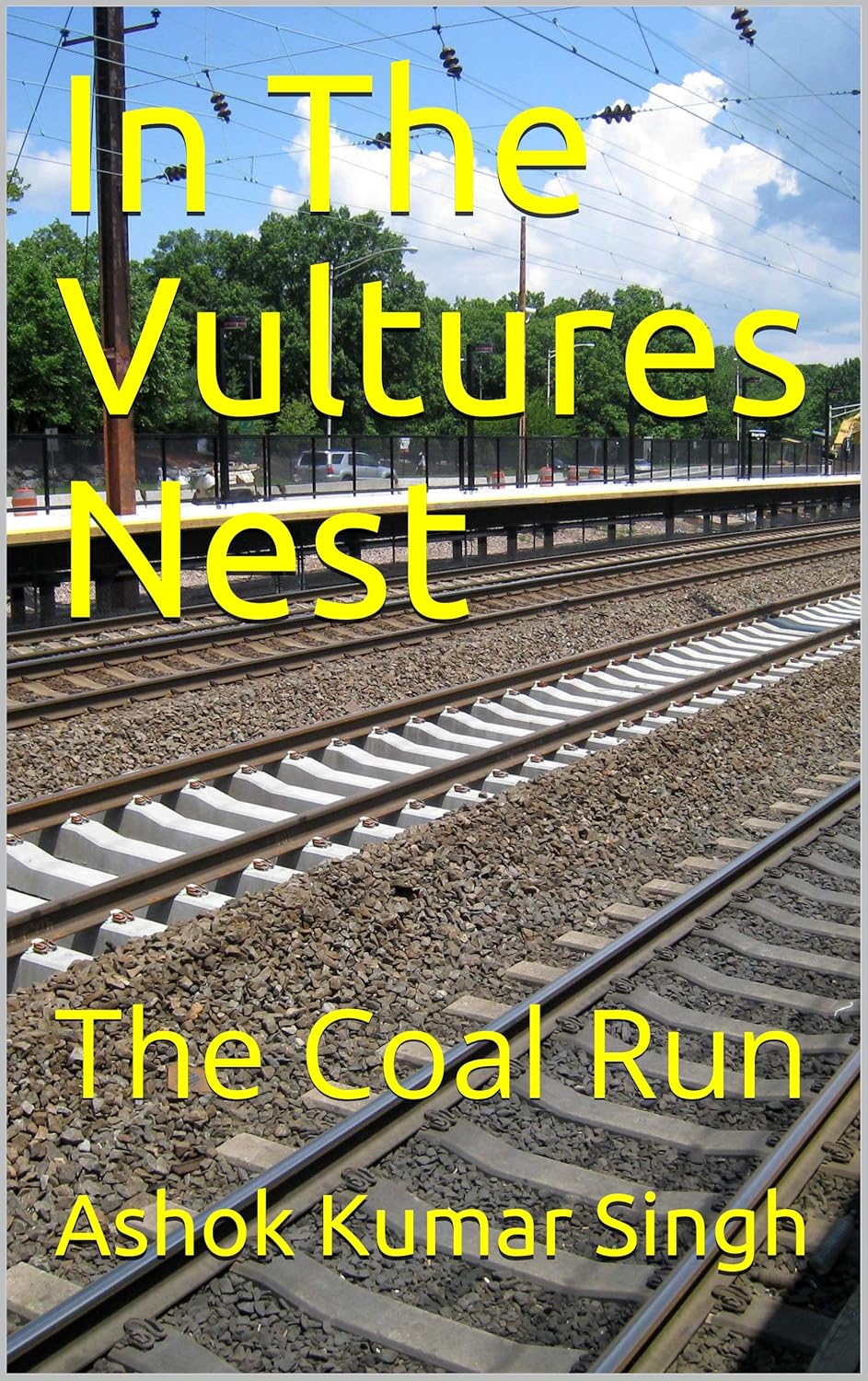In The Vultures Nest The Coal Run eBook Steven Smith