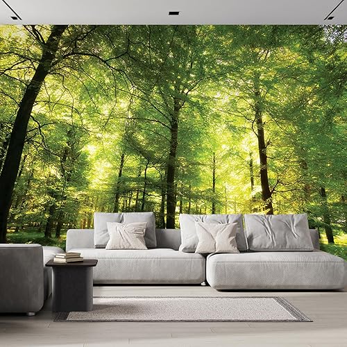 wall26 - Mural Bosque abarrotado - Mural de pared, adhesivo extraíble - 100x144 pulgadas wall26 - Mural Bosque abarrotado - Mural de pared, adhesivo extraíble - 100x144 pulgadas