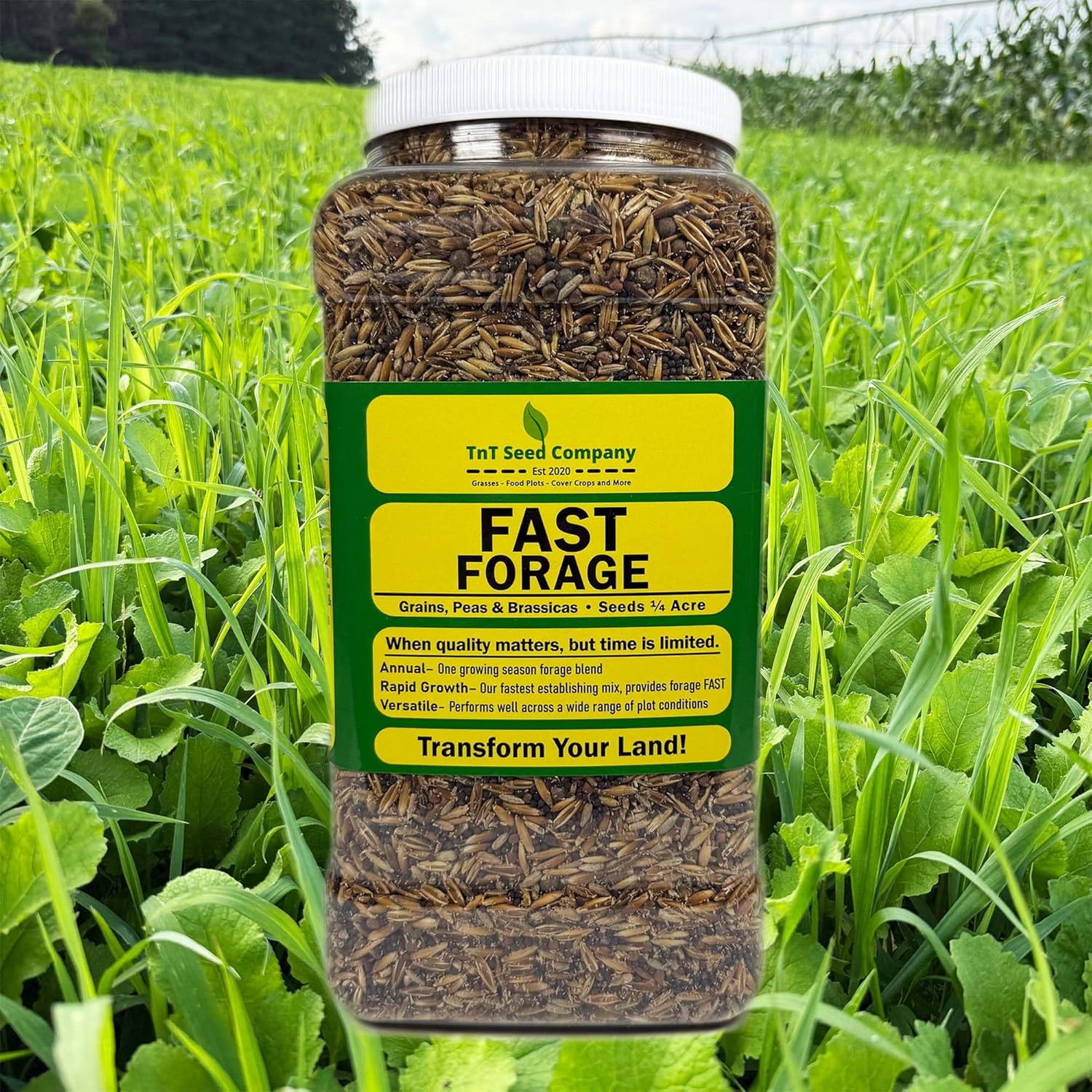 Fast Forage Food Plot Seed Mix, 1/4 Acre, Winter Peas, Whitetail Forage Oats, Winter Rye Grain, Radish, Hybrid Brassica, Kale, Throw and Grow