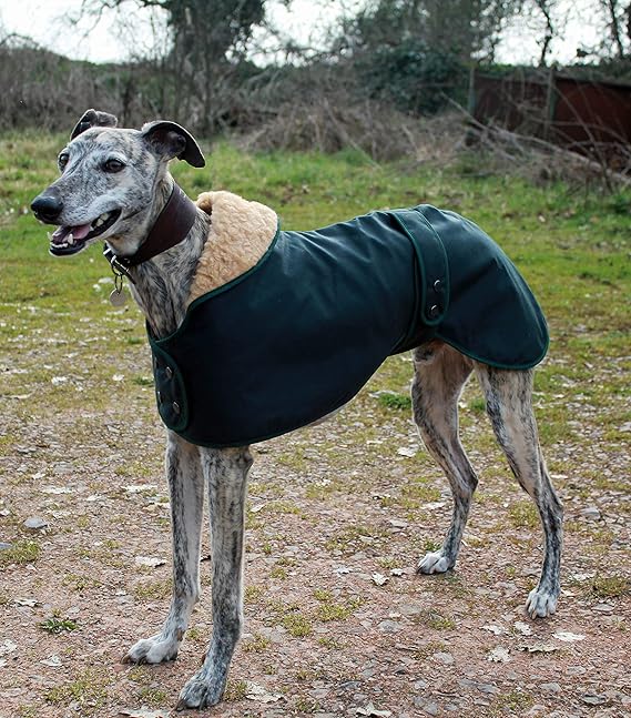 Cosipet greyhound hunter dog coat Clearance
