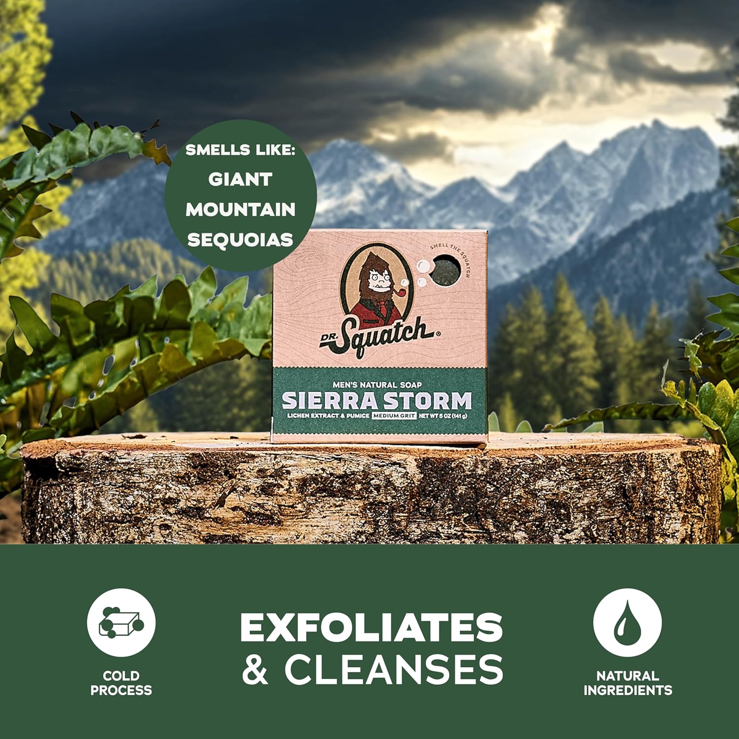 Dr. Squatch Natural Men’s Bar Soap - Cold Process Body Soap Bar with Natural Oils - Gifts for Men - Sierra Storm (5 oz, 3-Pack) - Image 3
