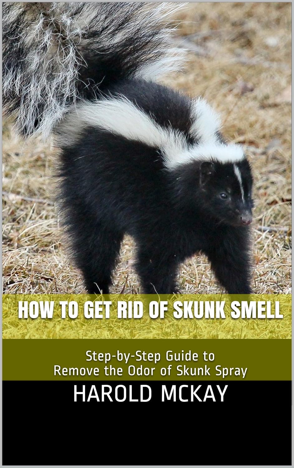 How To Get Rid of Skunk Smell StepbyStep Guide to Remove
