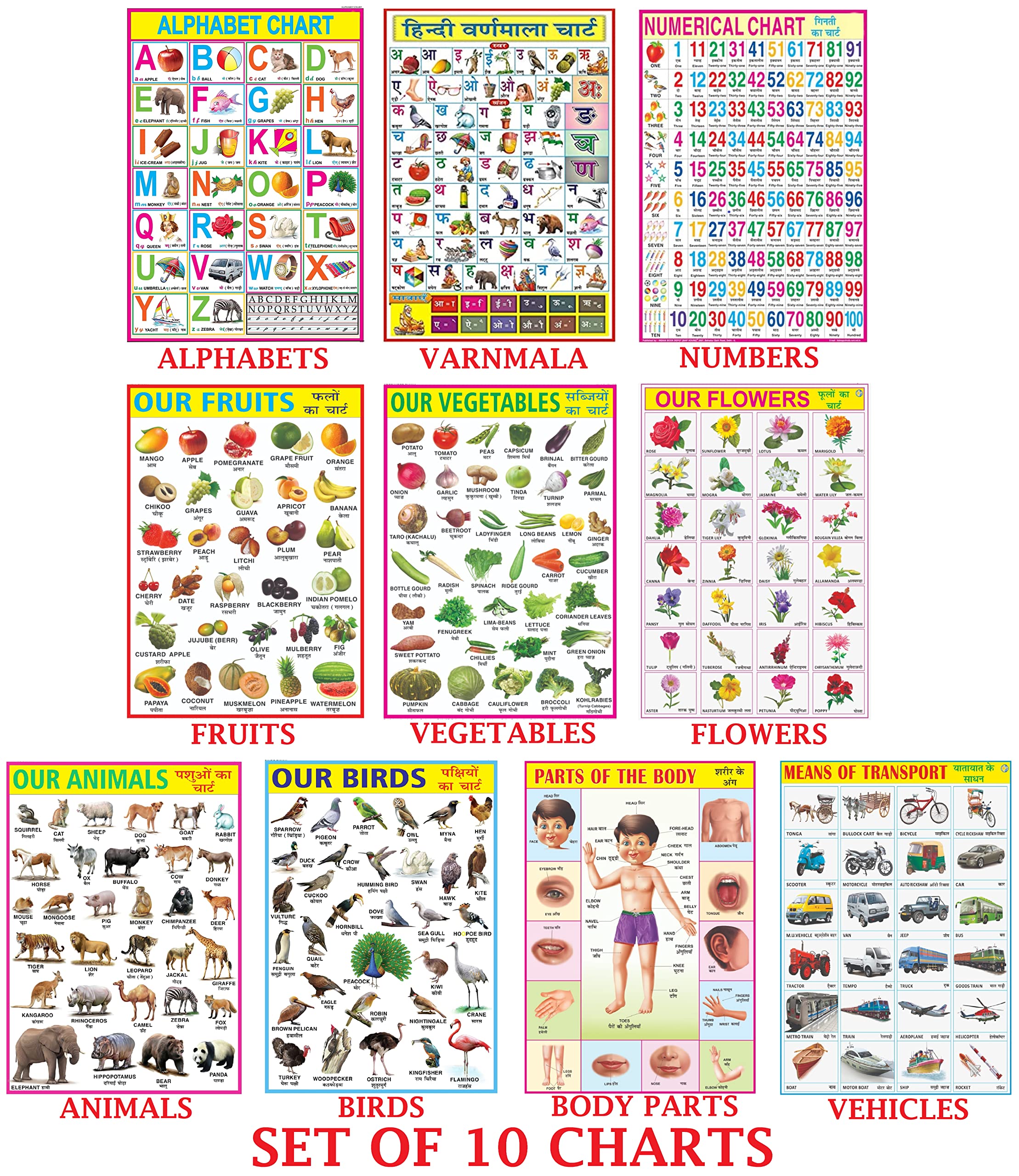 Learning Chart Size Buy Early Learning Educational Charts set for Kids | 70x100 cm (Extra ...