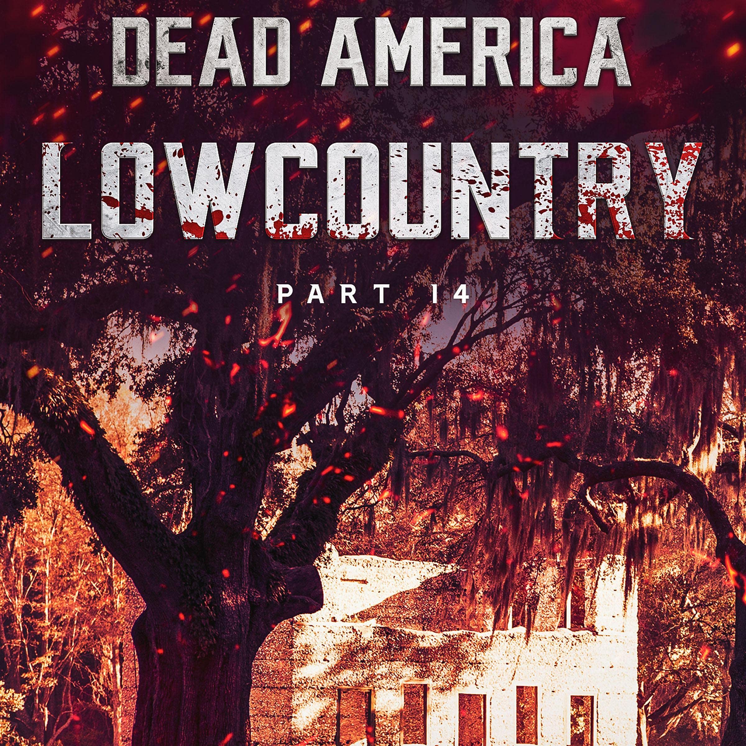 Cover art for Dead America - Lowcountry: Part 14