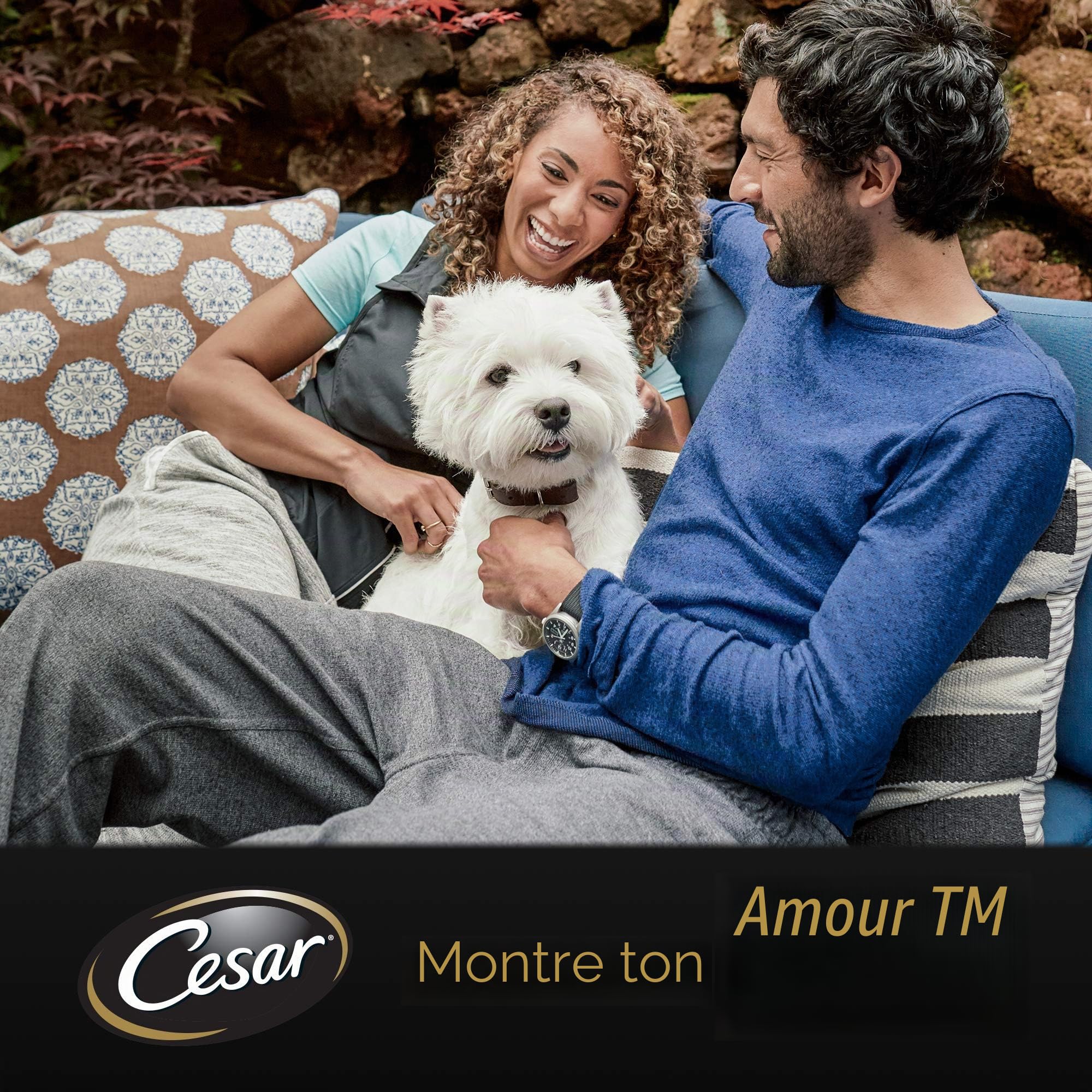 Cesar Nourriture Humide pour Chien - Terrine de Jardin avec Agneau, Carottes et coriandre en gelée - 14 Bols (14 x 150 g)