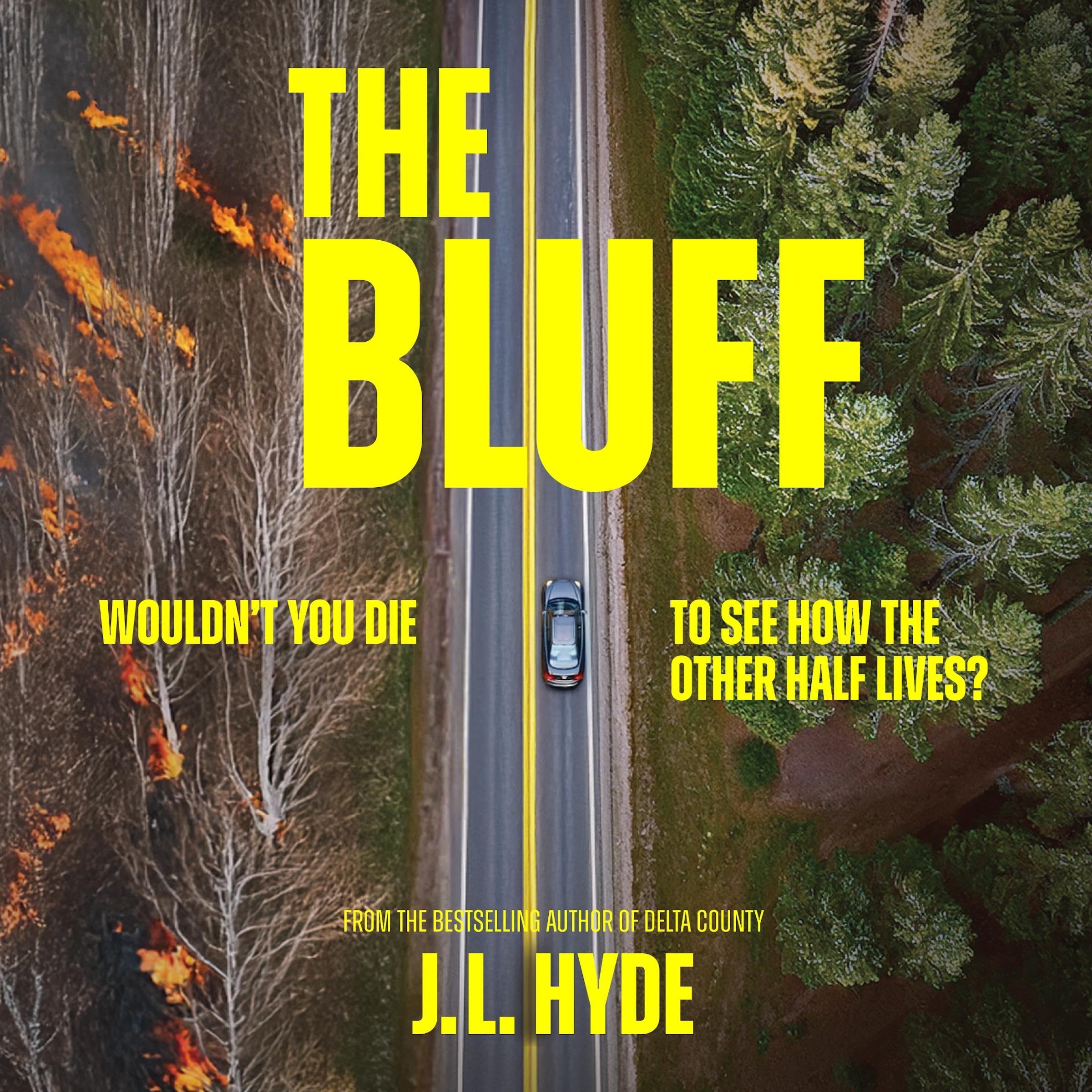 Cover art for The Bluff