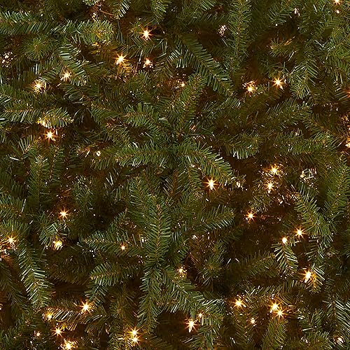 Miniatura 2 de National Tree Company Dunhill - Árbol de abeto con 450 luces transparentes 45 pies