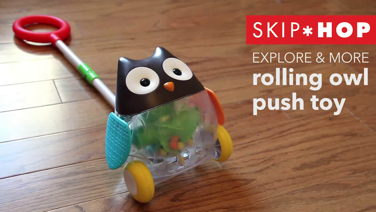 skip hop rolling owl push toy