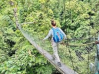 Review Image by Shannon Shannon