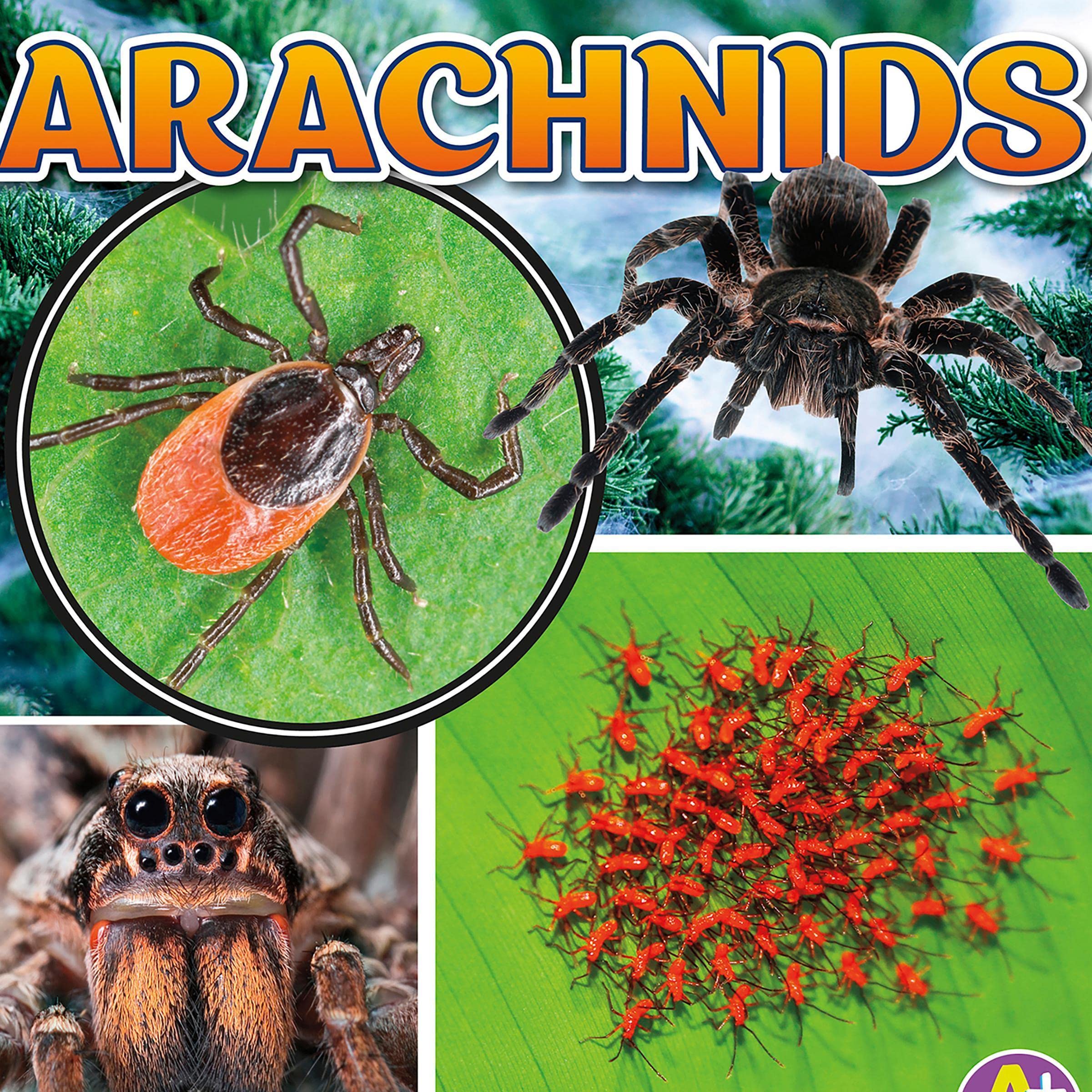 Arachnids