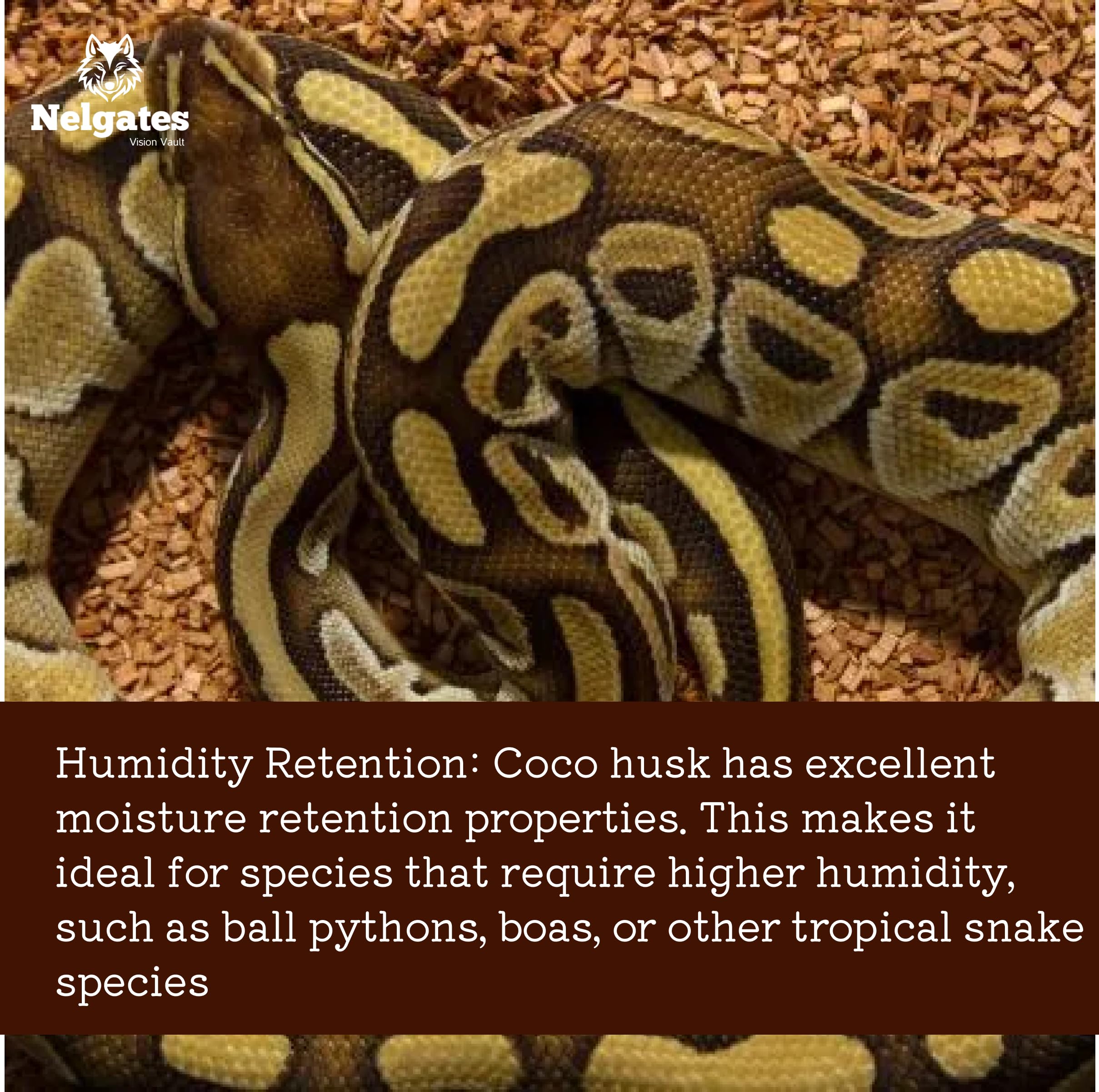 Nelgates Coco Husk Block for Animal Bedding pet Products Dogs, Cats Reptiles Snakes Chicken Bird 1kg