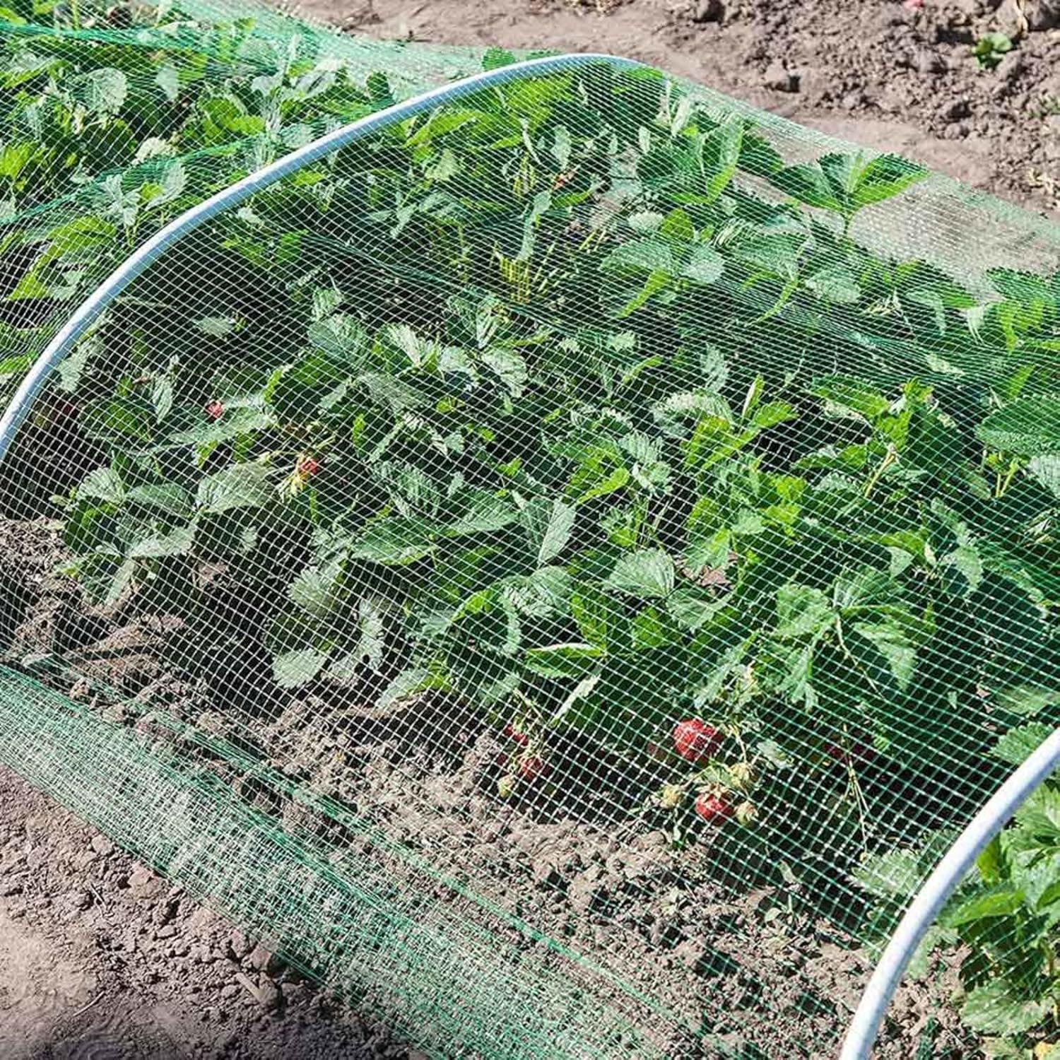 Nylon Anti-Bird Garden Netting - 4x10m Fine Mesh Plant Protection for Vegetables Poultry and Greenhouse Tunnels - Durable Lightweight and Reusable