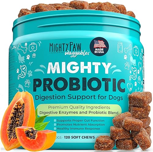 Mighty Paw Waggables - Probióticos masticables para perros (hechos en Estados Unidos) Probióticos para perros y enzimas digestivas. Probiótico con