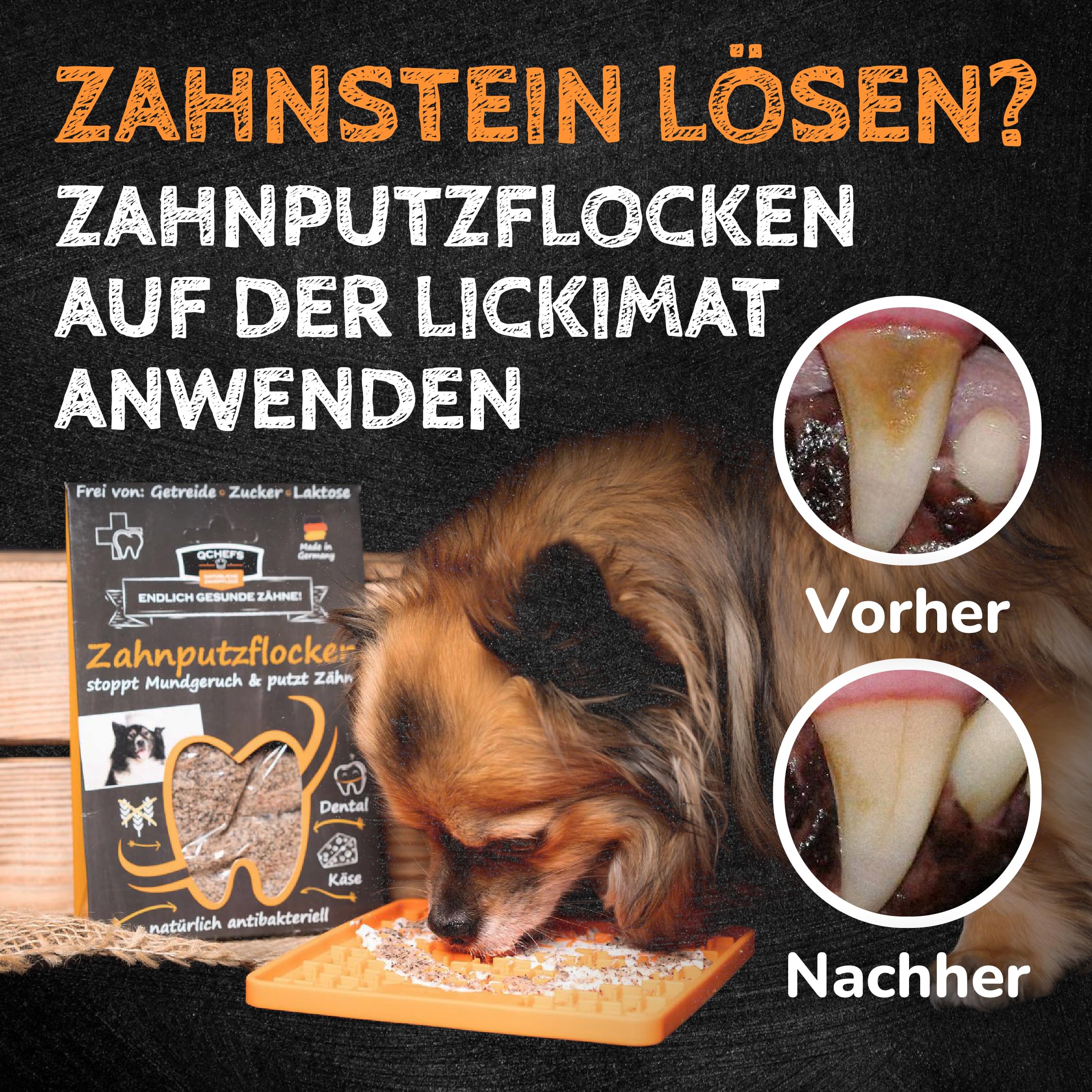 QCHEFS Starterbox für Hunde Pulver für Zahnpflege und Darmgesundheit zugleich bei Erbrechen, Blähungen und Durchfall