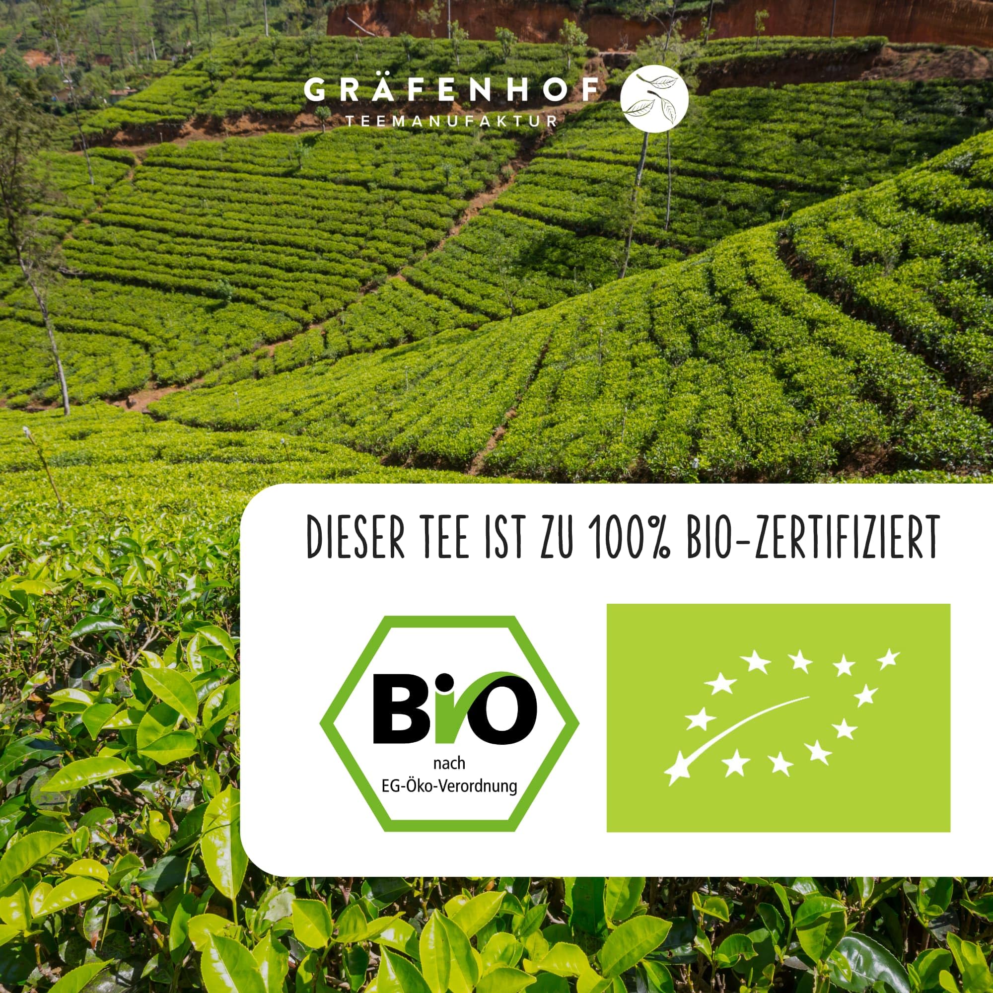 Gräfenhof China Jasmin Dragon Pearls Grüner Tee Bio, 300g (3x 100g) loser Tee aus 100% Grüner Tee Dragon Pearls, mit natürlichem Koffein, Premium Qualität, in DE abgefüllt