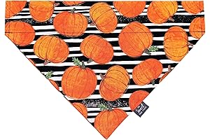 Celebrate the Harvest Season with Our Best-Selling Fall Bandana!