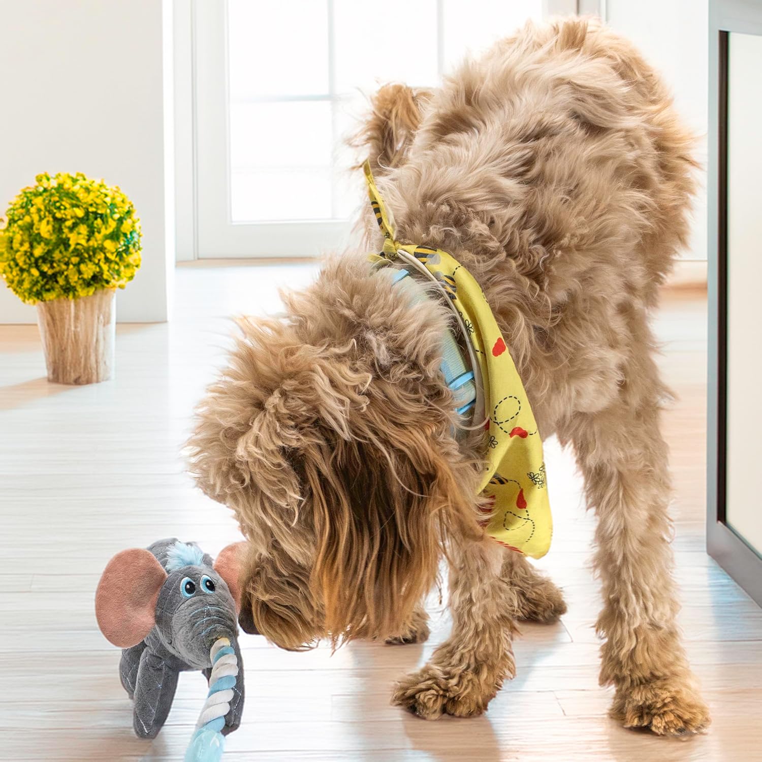 KONG Bendeez Dog Toy – Durable Plush with Rope, Flexible Twistable Design, Squeaker for Interactive Play, Large Size for All Dogs (Bird/Elephant/Snail)