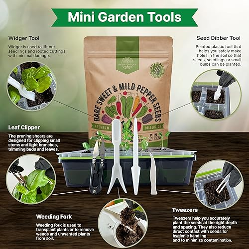 Miniatura 4 de Organo Republic Paquete variado de 12 semillas raras de pimiento dulce y suave, más de 770 semillas de pimienta de reliquia sin OMG para jardinería