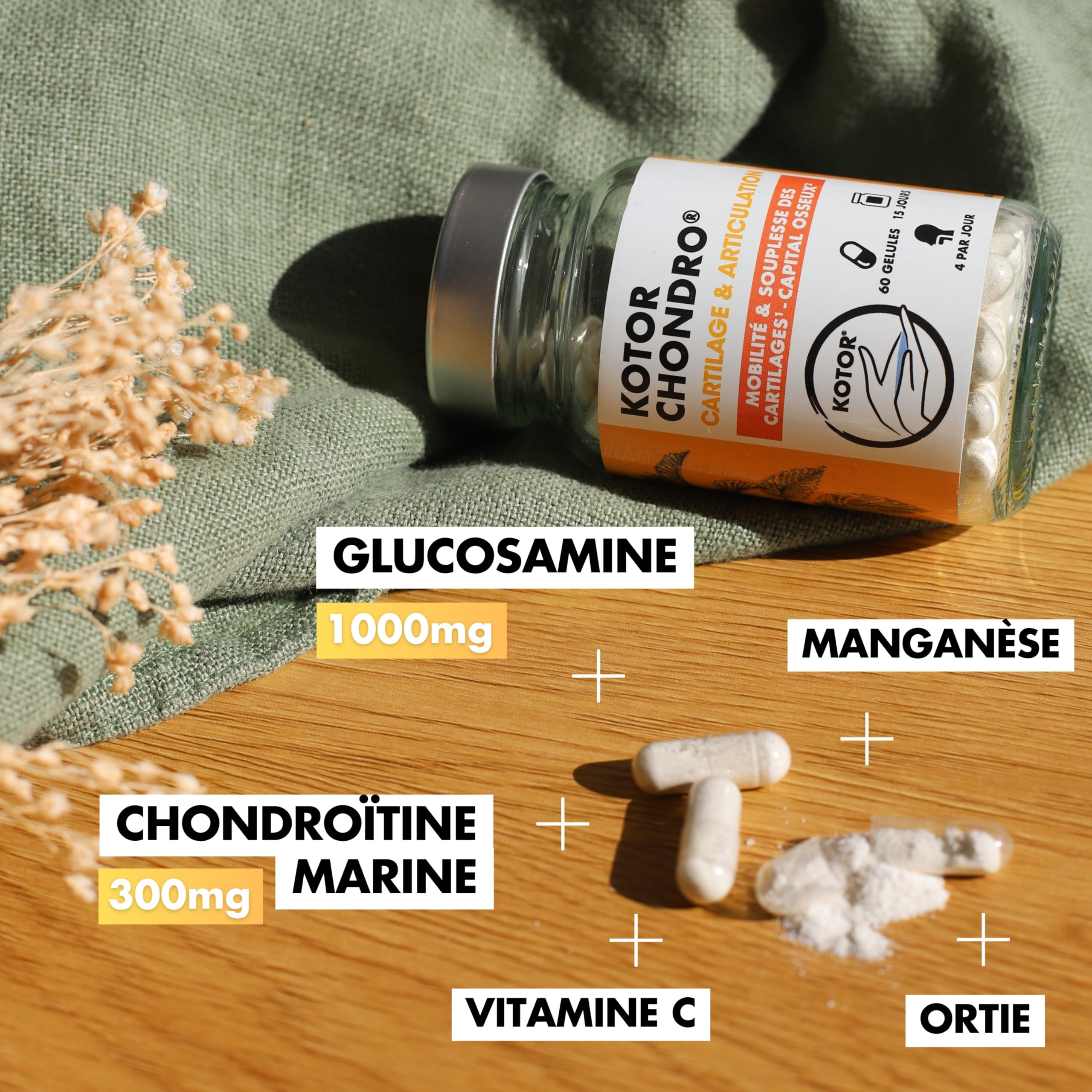 KOTOR CHONDRO | Régénère les Cartilages | Glucosamine + Chondroïtine Marine + Ortie + Manganèse + Vitamine C | Mobilité & Souplesse | 60 Gélules | Fabriqué en France
