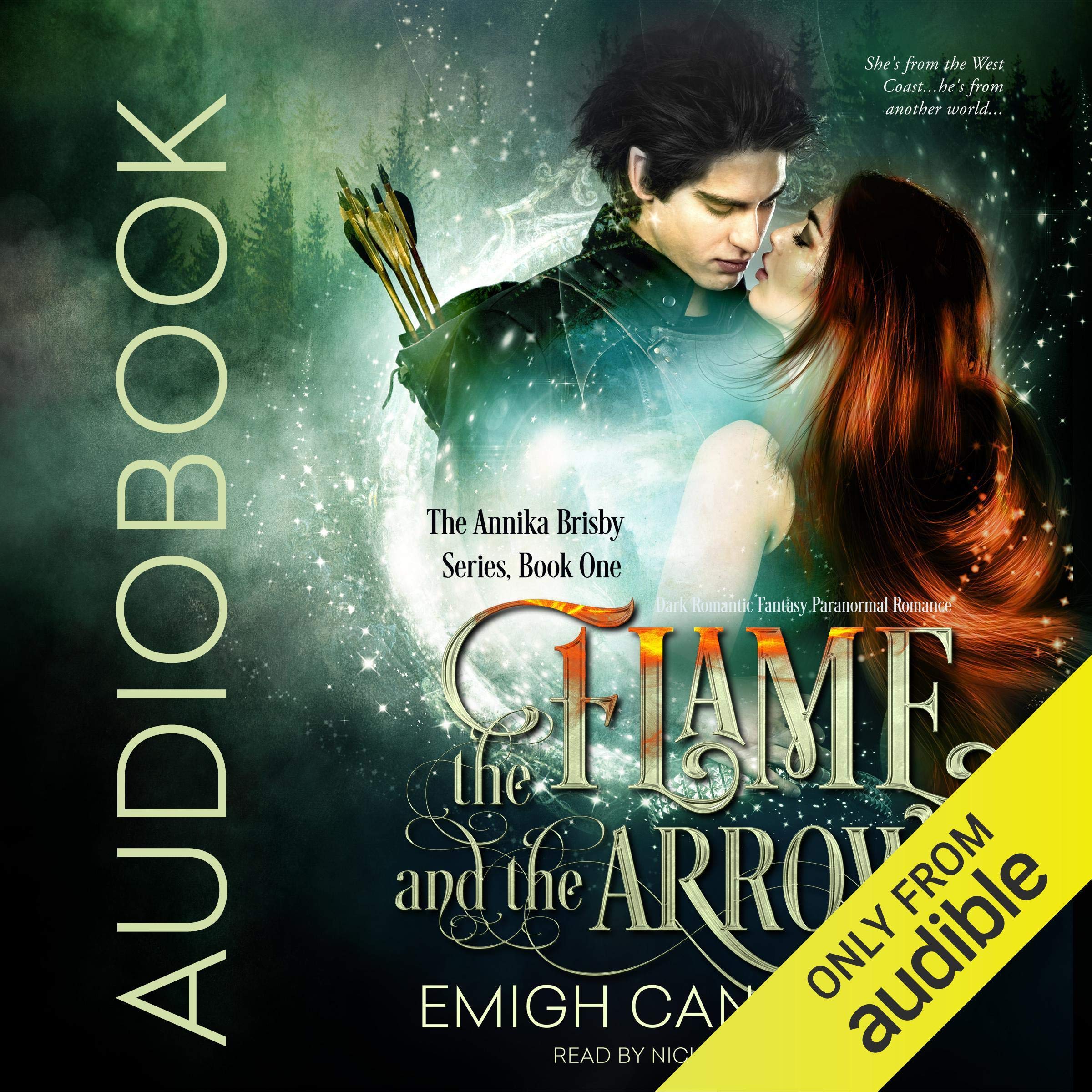 Cover art for The Flame and the Arrow