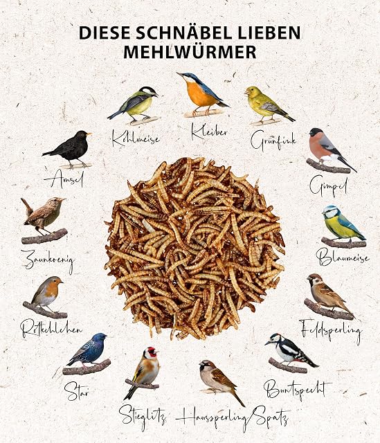 Foto 5 de 8 de Dehner Natura Premium - Comida para Aves Silvestres para Aves Silvestres, Gusanos de la harina Secos…