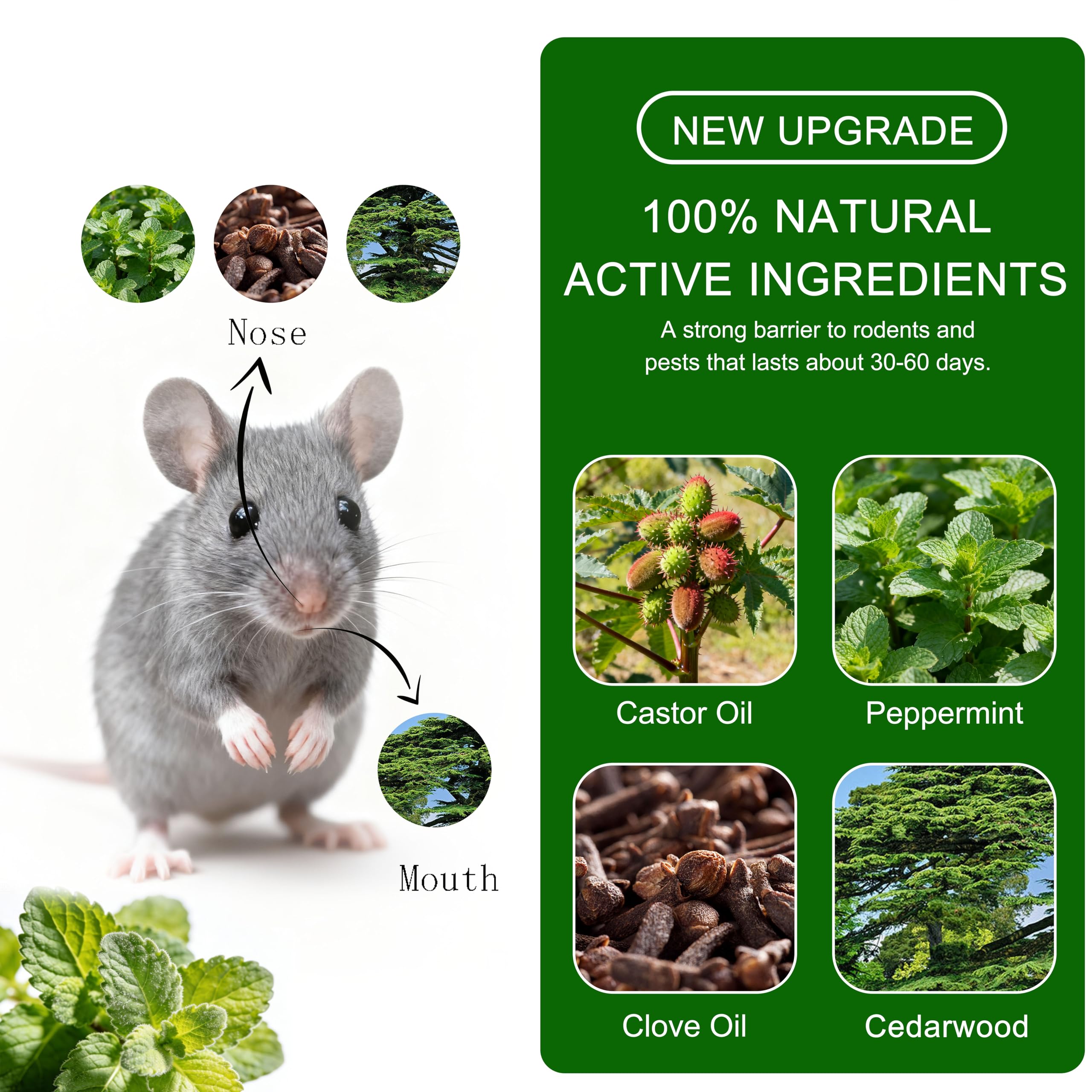 Mouse Rodent Repellent, 24 Pack Natural Rodent Repellent Balls Peppermint Oil for Mice, Mouse, Rats, Squirrel, Indoor/Outdoor Pest Control for Home, Kitchen, Garage, Garden, Caravan view 5