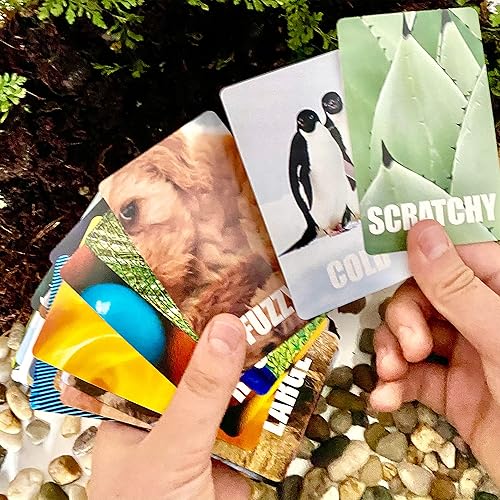 Miniatura 4 de Hapinest Encuentra y busca el juego de cartas para interiores y exteriores para niños